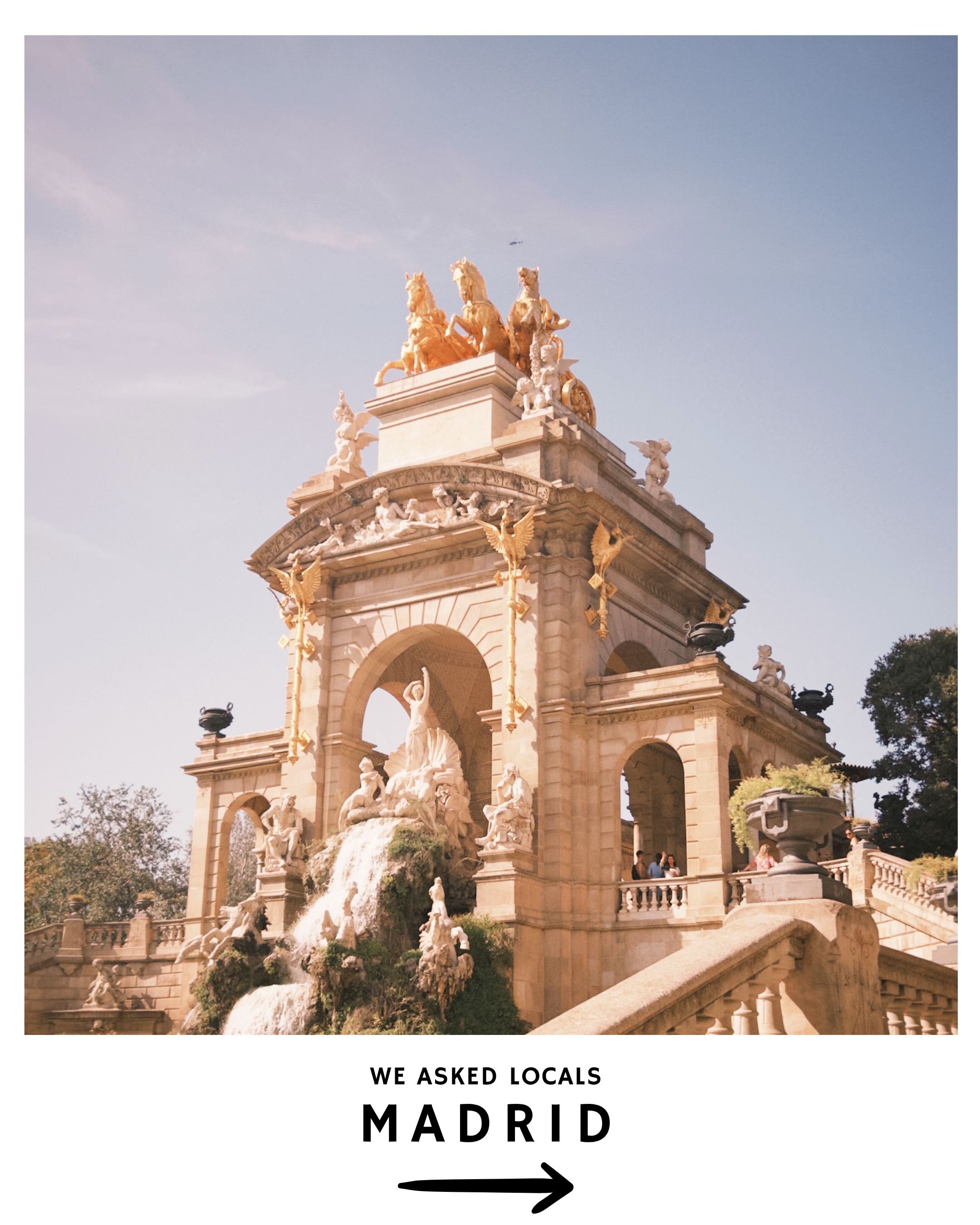 We Asked Locals, Araia