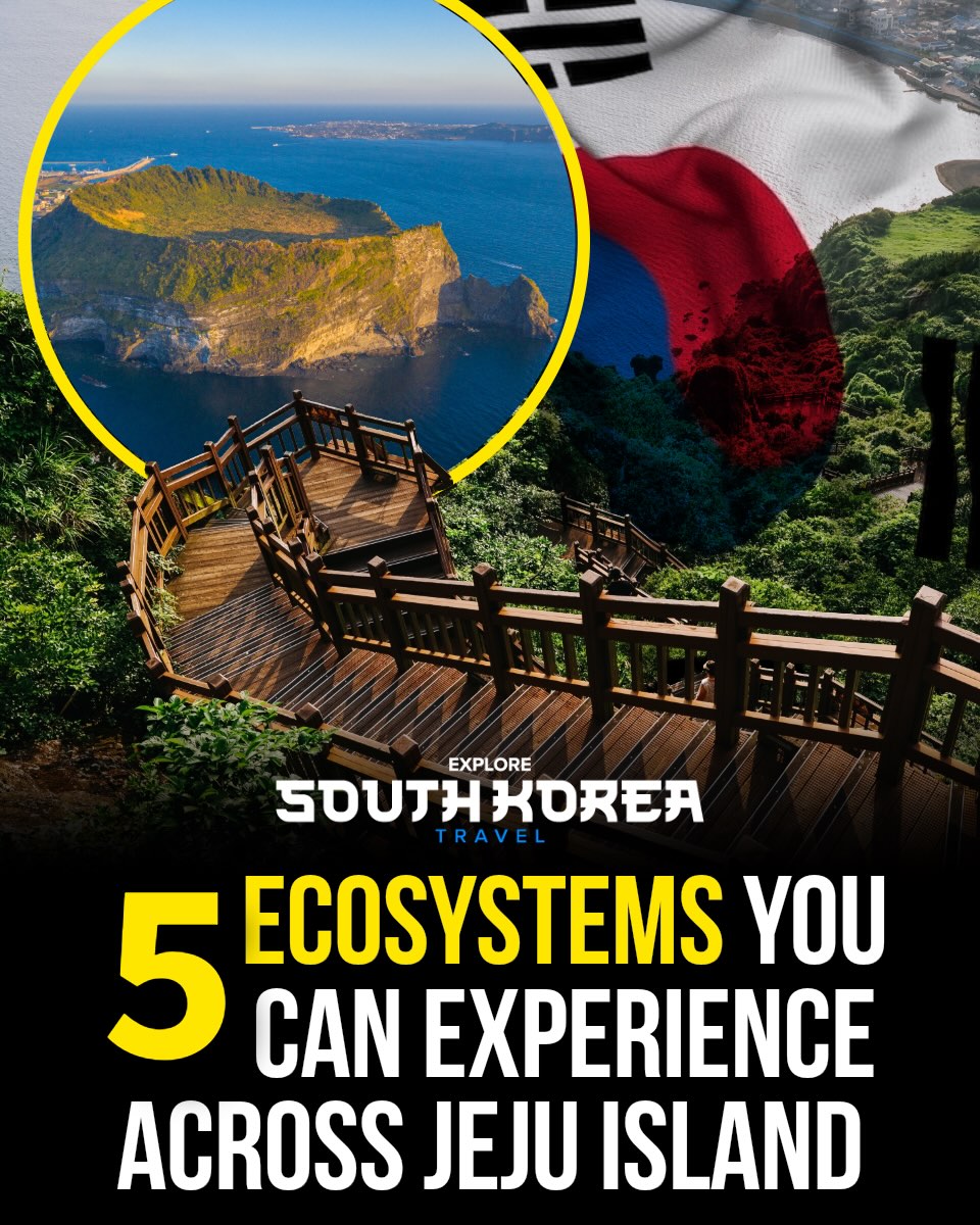 South Korea 🇰🇷 | Travel | Hotels | Food | Tips, Jeju Island