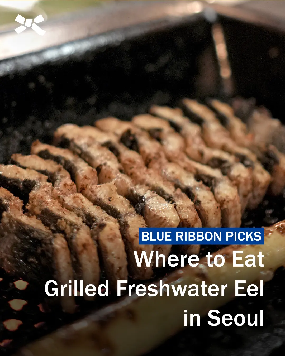 Blue Ribbon Survey, 영동장어