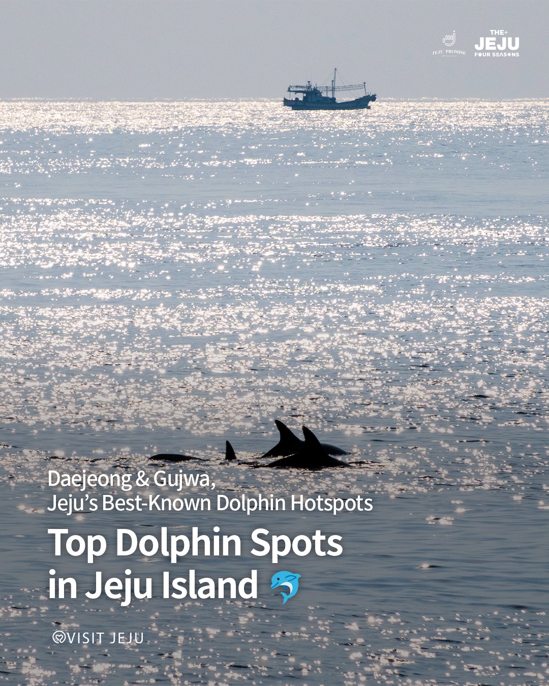 Jeju Tourism Organization, 김녕해수욕장