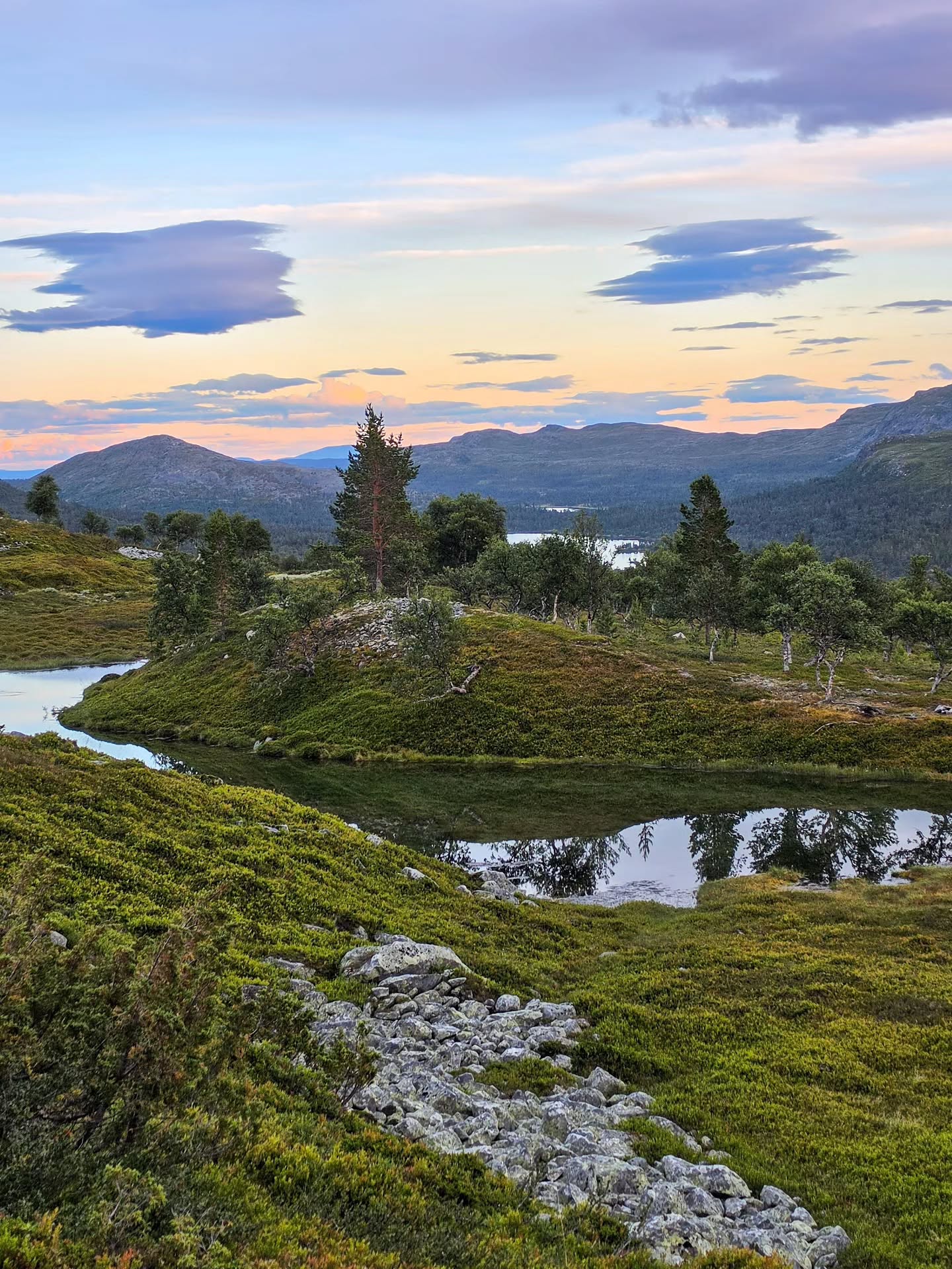 Linn 🇳🇴 Norway, Femundsmarka National Park