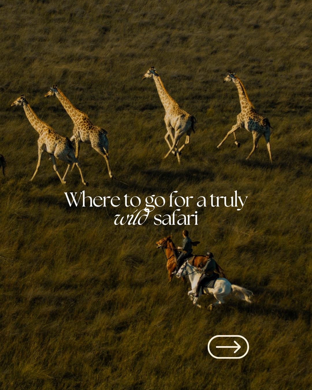 Black Saddle Riding Safaris, Okavango Delta
