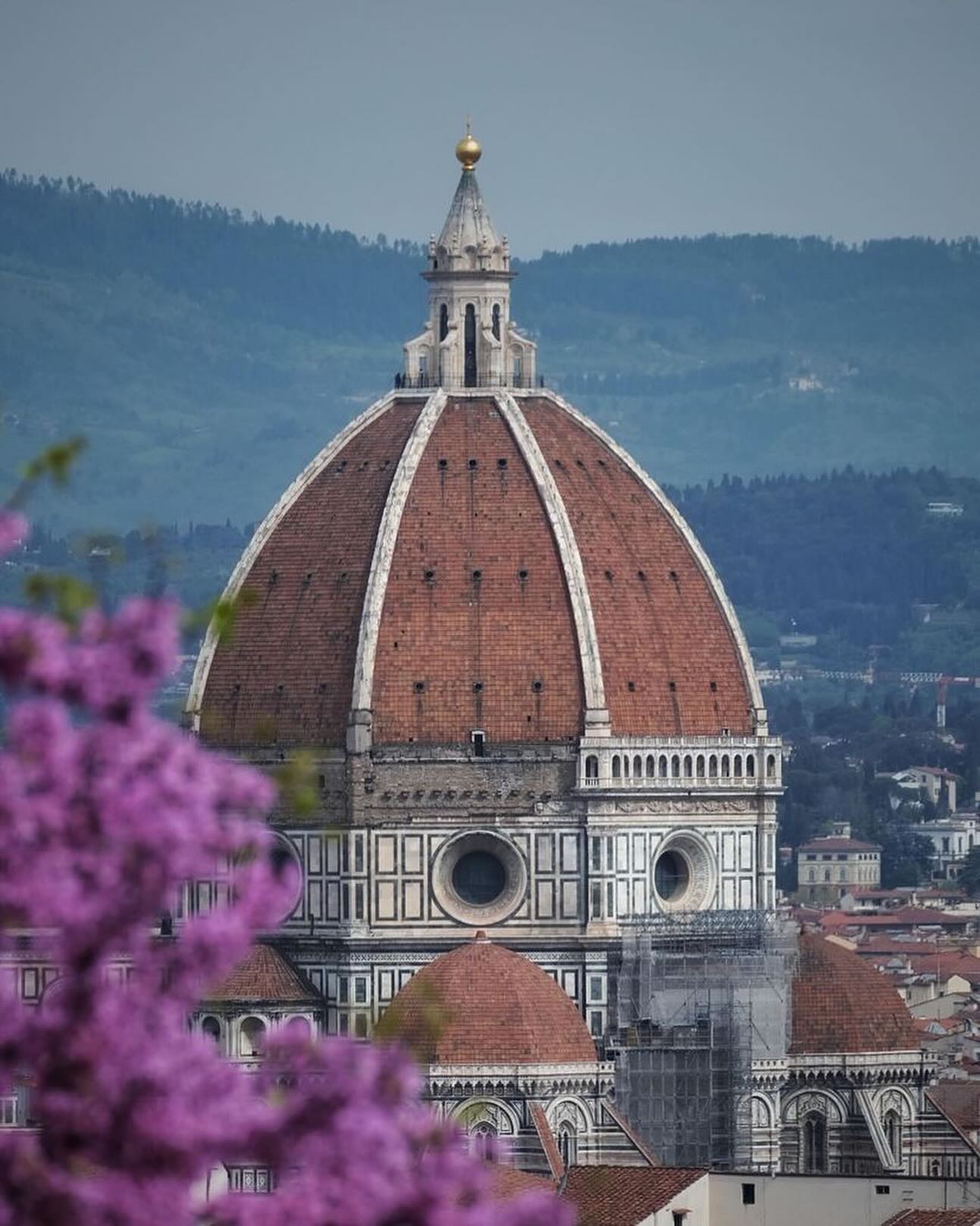 Florencia 🇮🇹 Firenze Travel | Hotels | Food Tips, Cathedral of Santa Maria del Fiore
