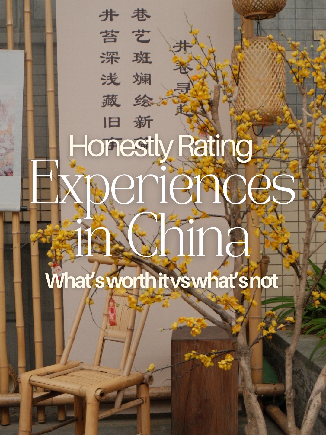 Akanksha | Solo Travel, Chengdu Research Base of Giant Panda Breeding