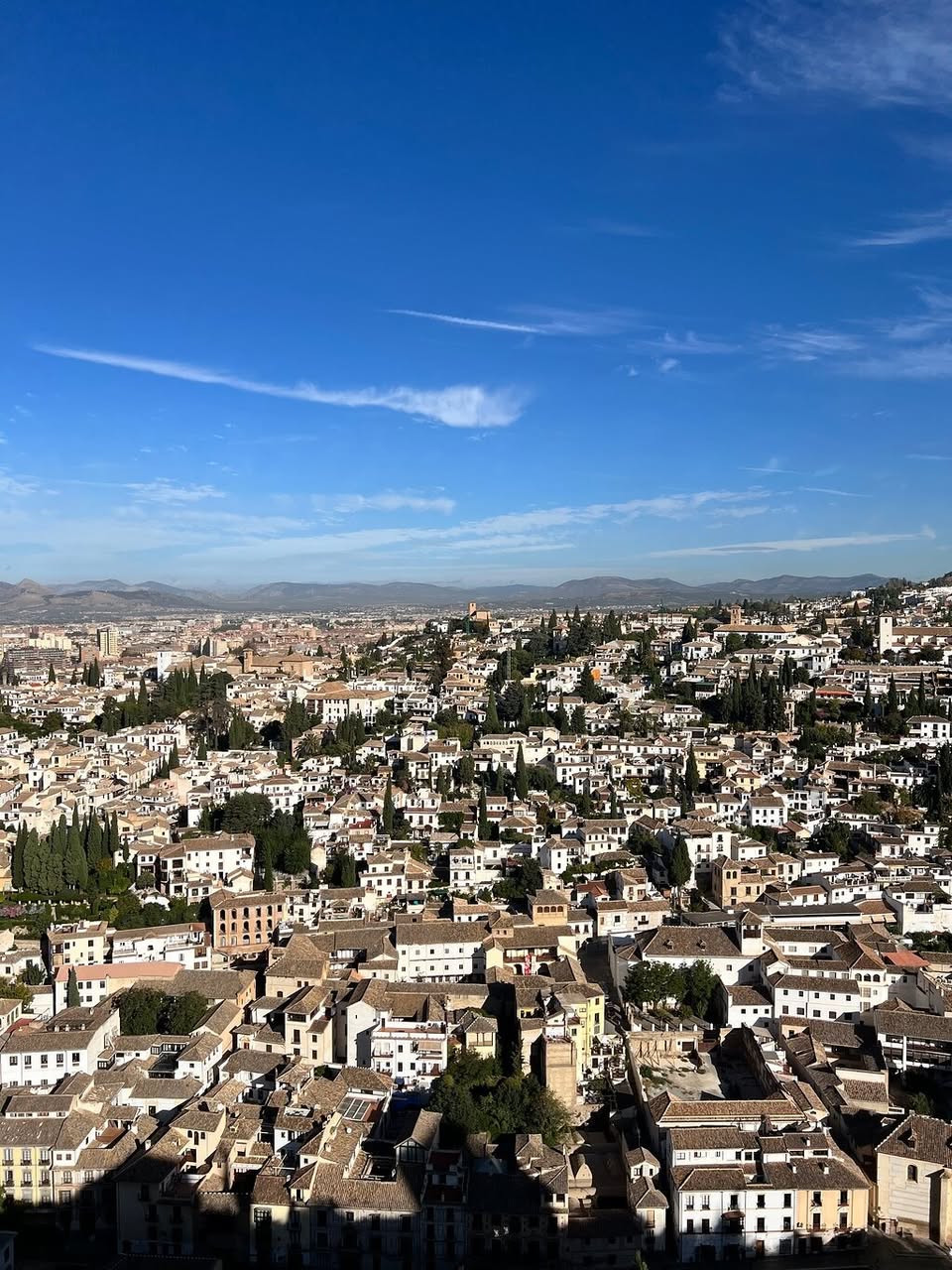 Aqsa Adalyn, Catedral de Granada