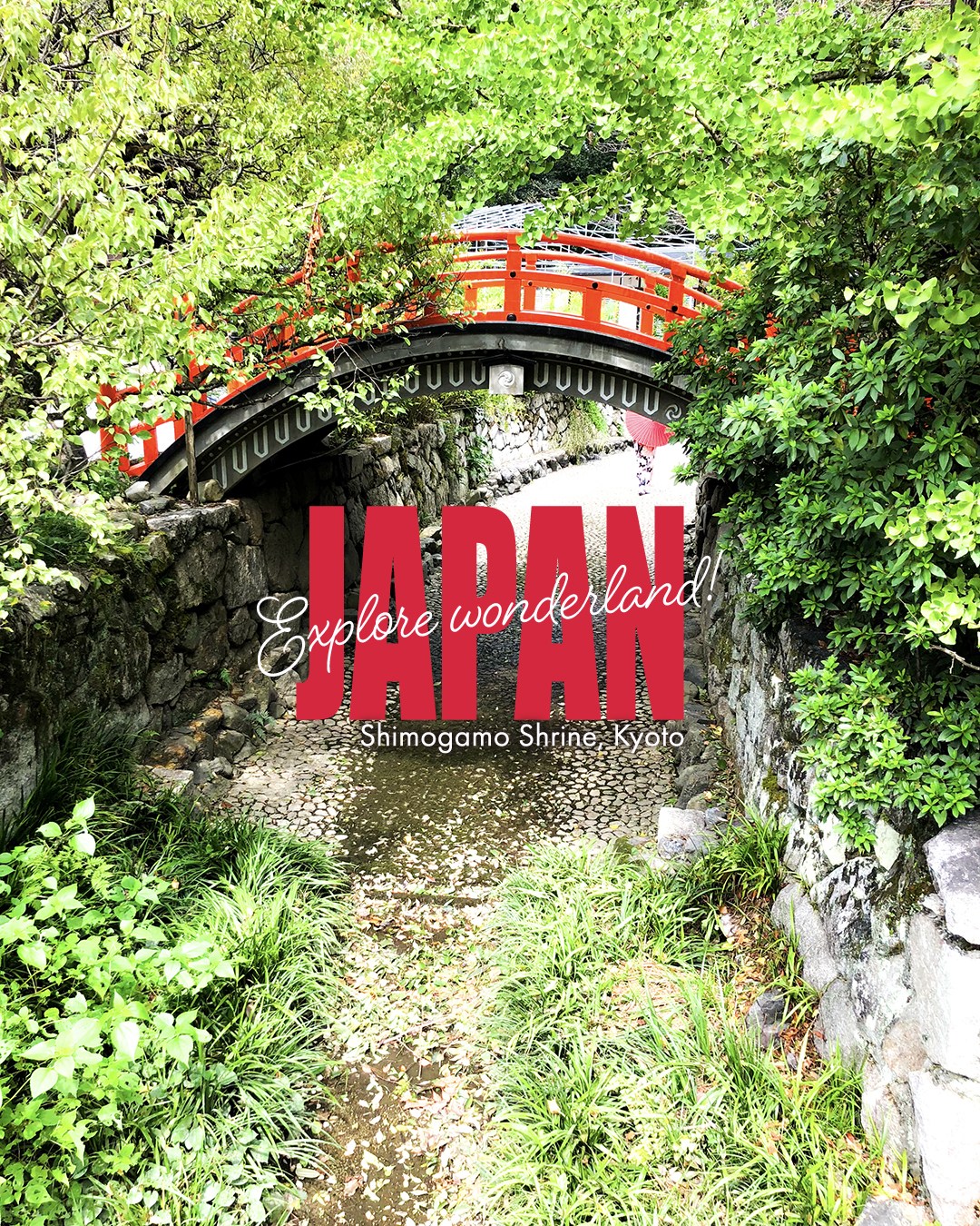 Japan🇯🇵Travel agency | Private tours | DMC, Shimogamo Shrine