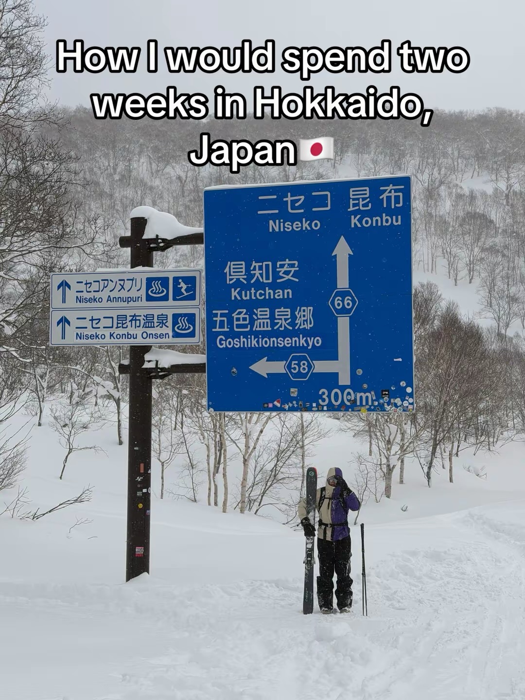 Ski guy, Niseko