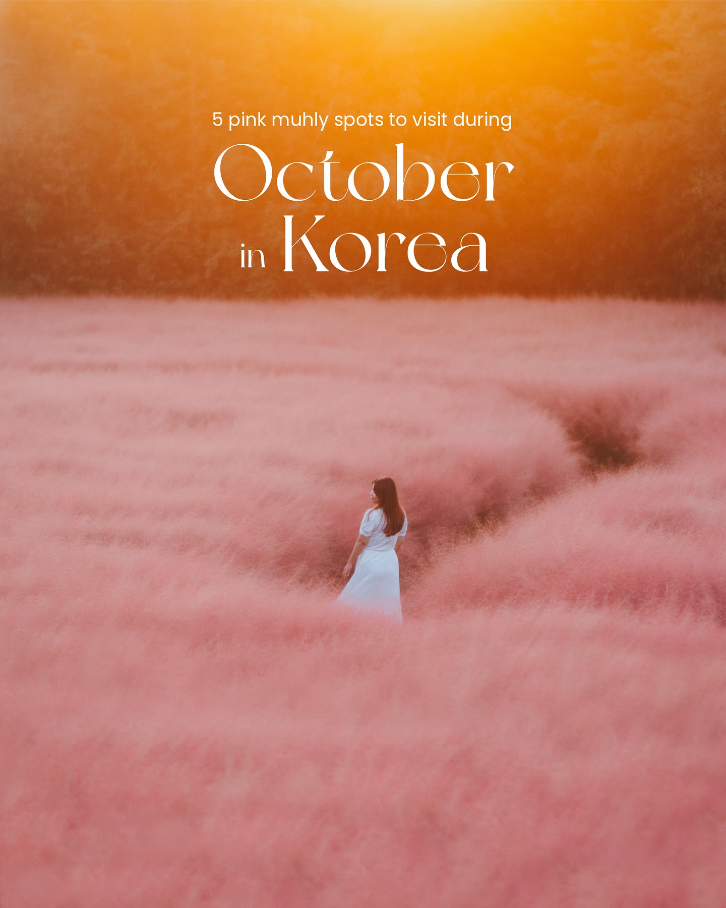 𝐂𝐢𝐧𝐝𝐲🌼, Nari Park