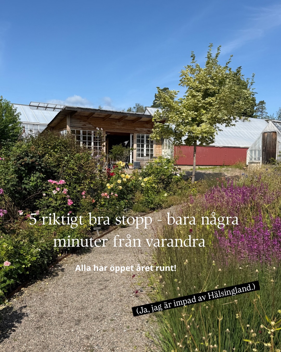 Lina Skandevall, Hennings Veranda