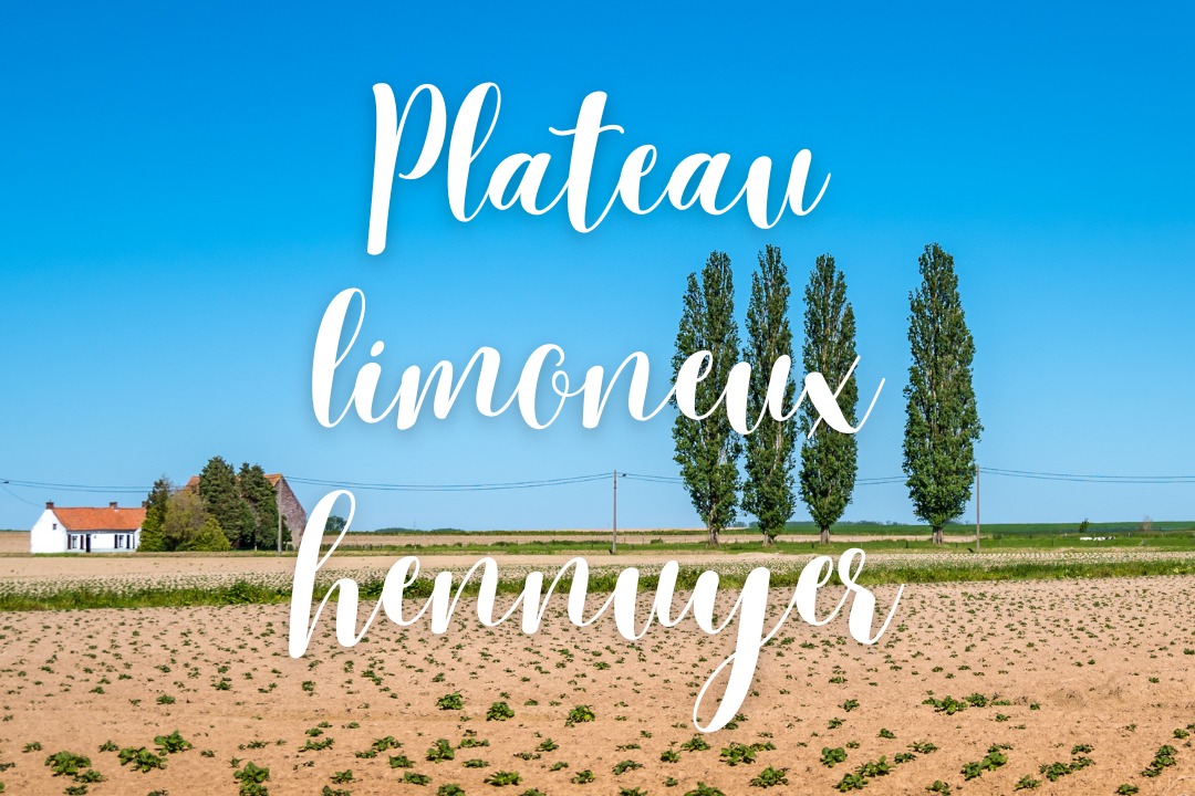 Les Plus Beaux Villages de Wallonie, Ragnies