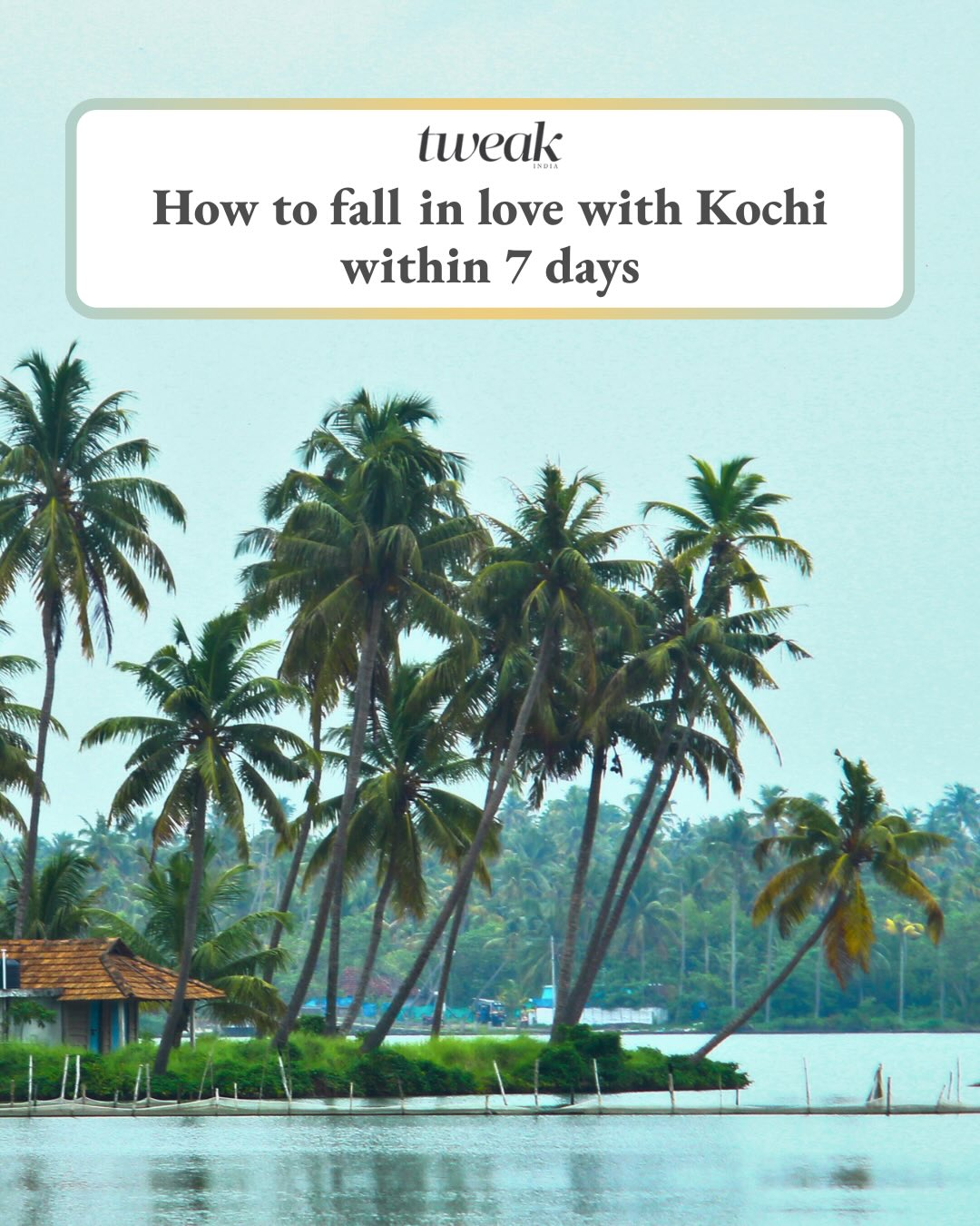 Tweak India, Fort Kochi