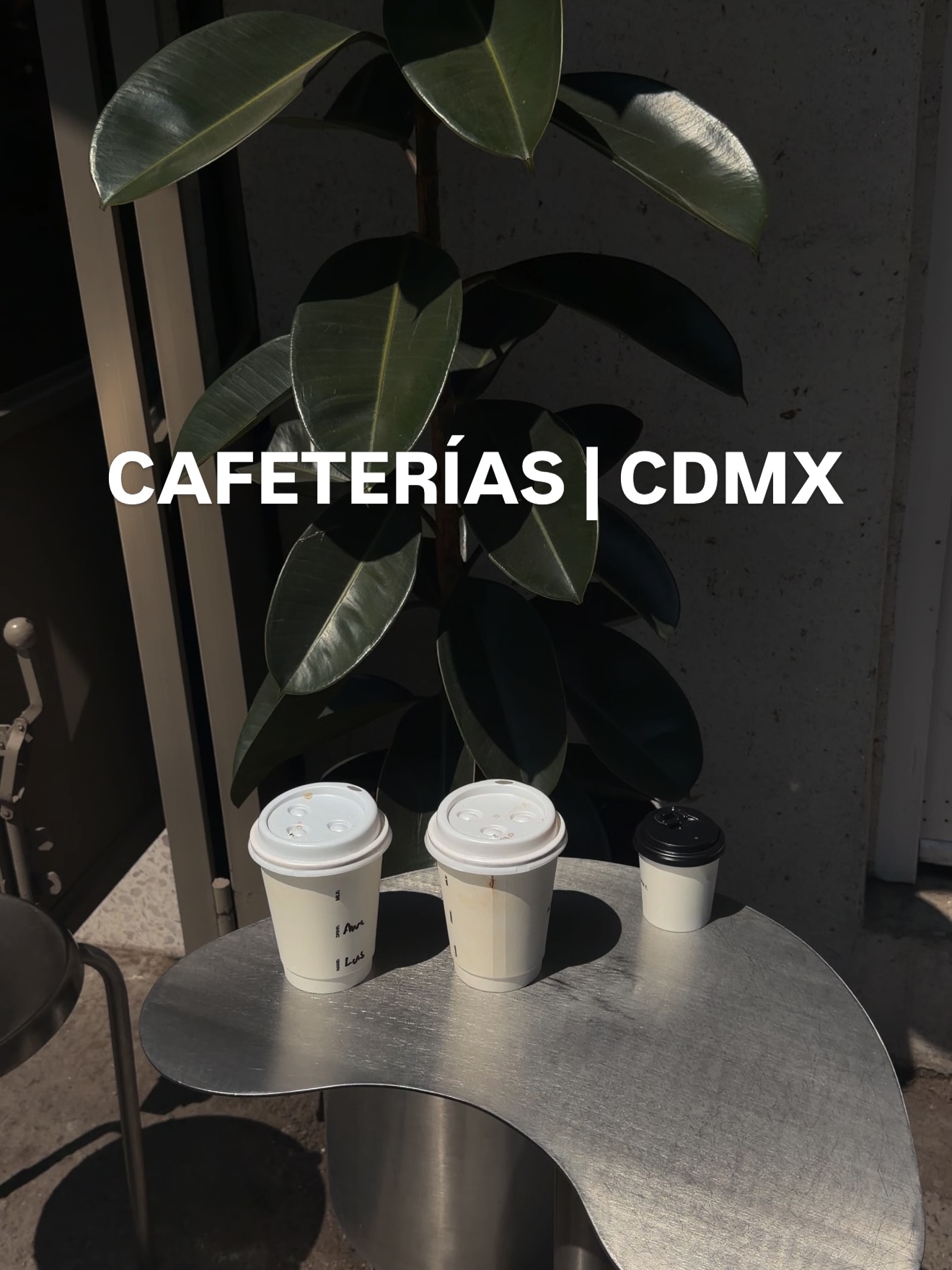 Lorenzo Antonio, ODETTE CONDESA