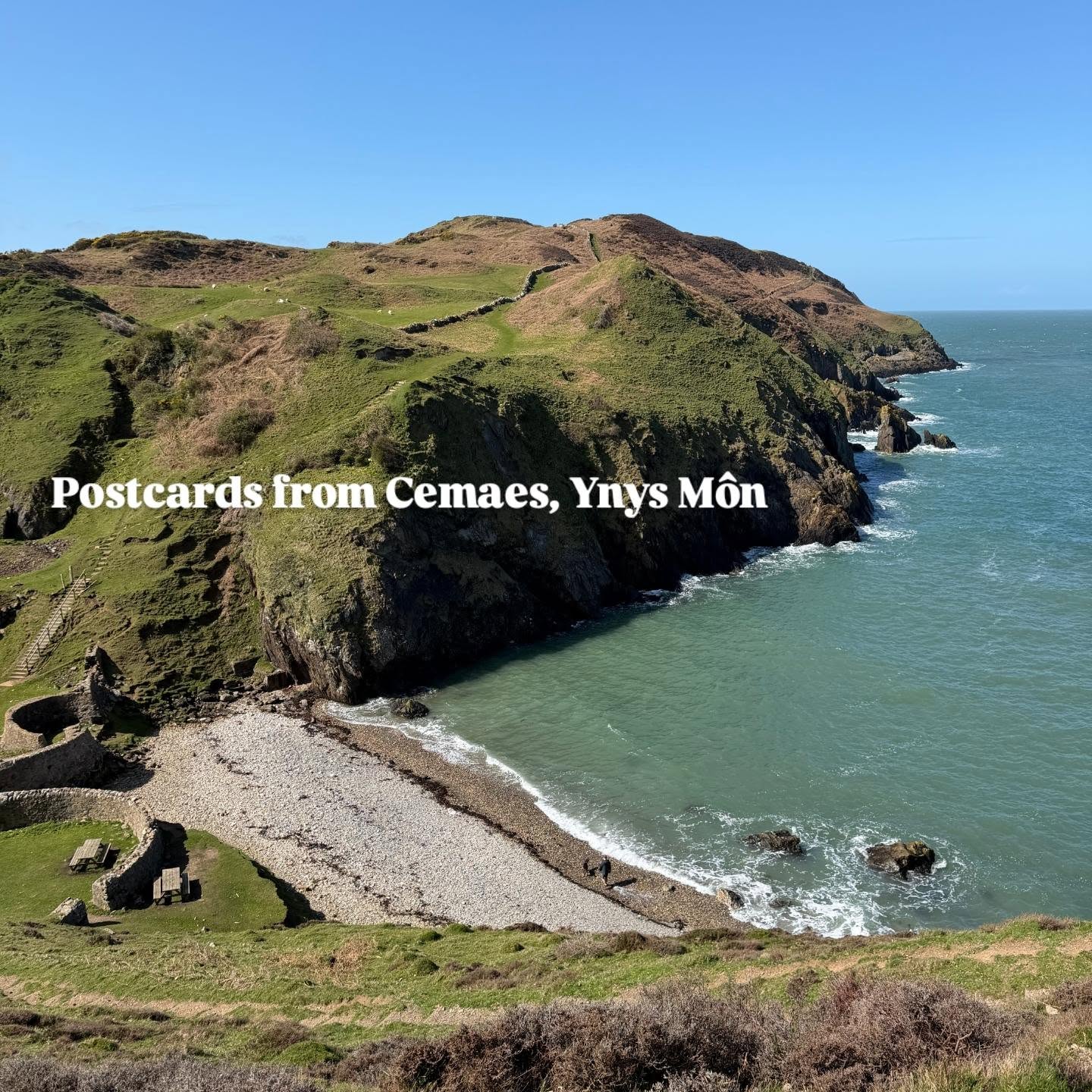 North Wales Grub | Gryb Gogledd Cymru, Caffi Banc Cemaes