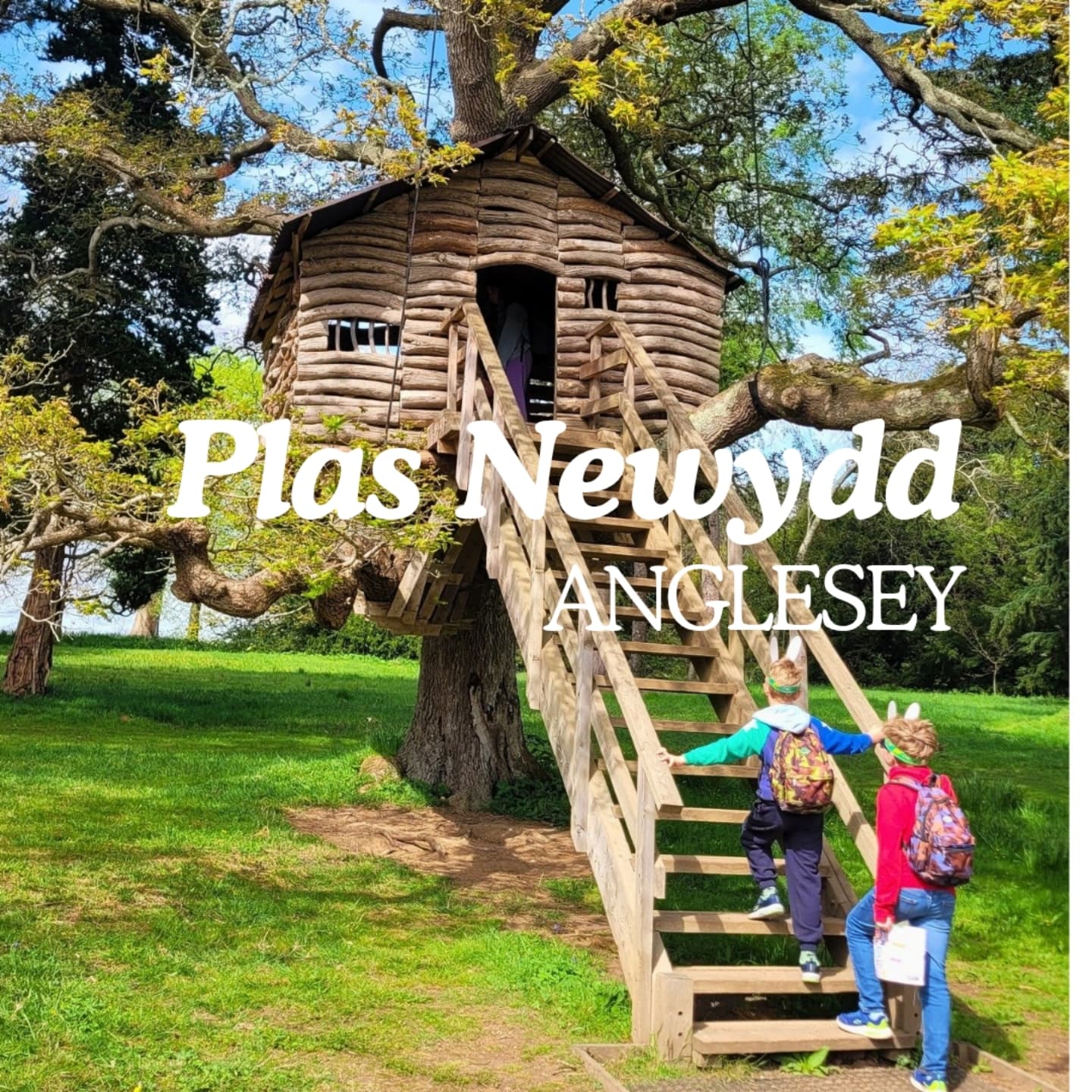 Little Adventures North West, National Trust - Plas Newydd House and Gardens