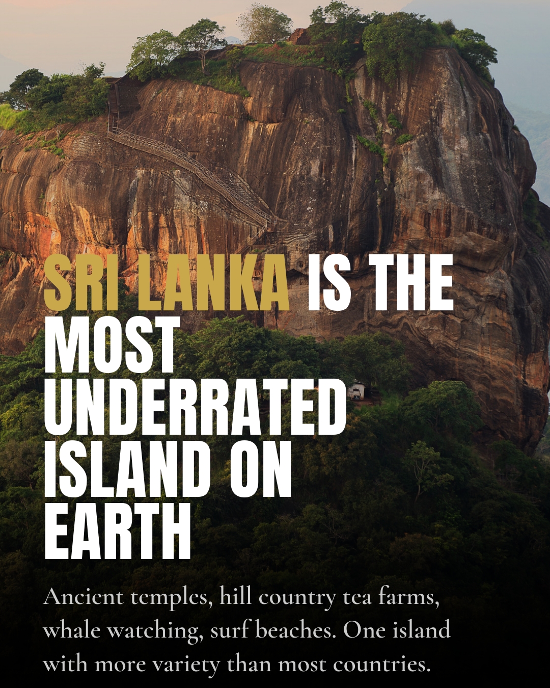 Mike • Impact Travel, Sigiriya