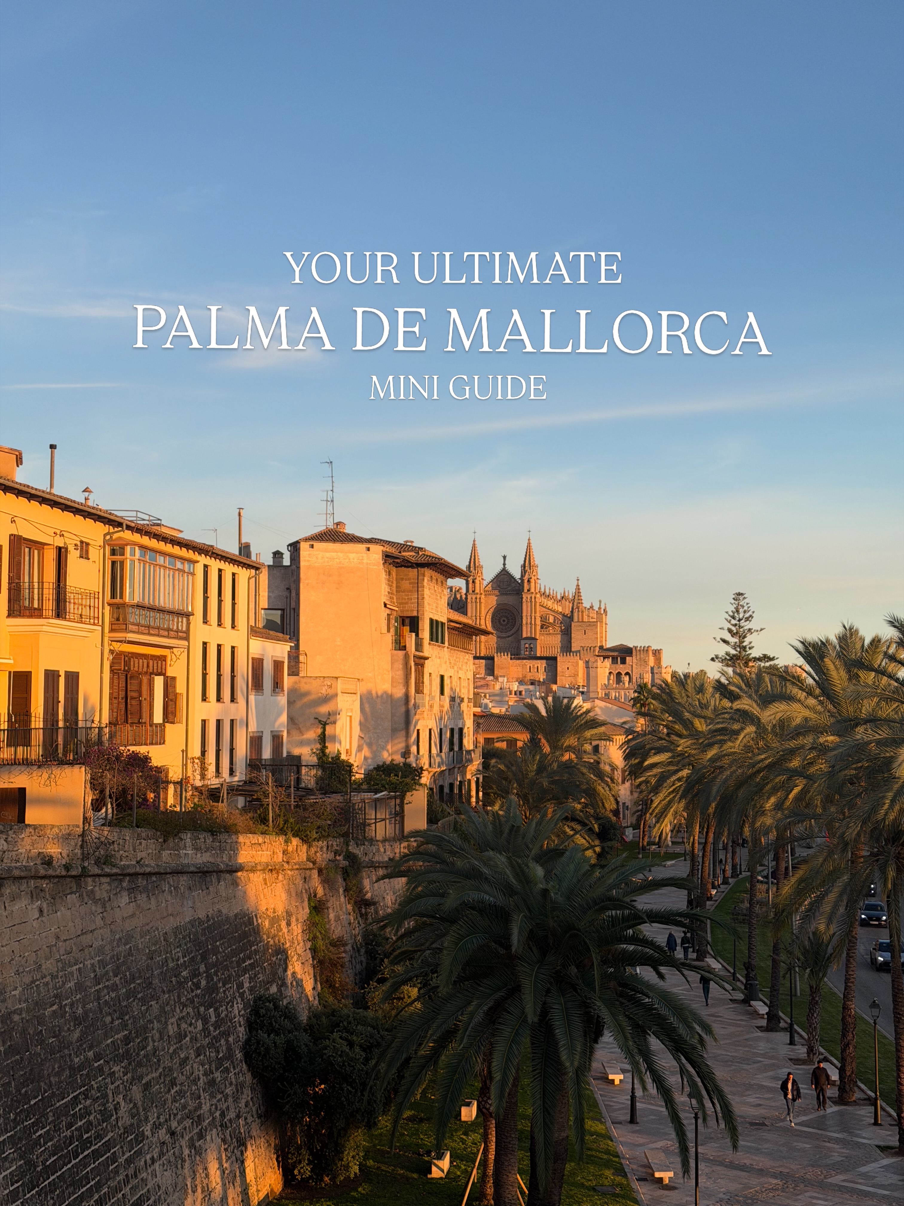Mallorca Island Guide, Catedral-Basílica de Santa María de Mallorca