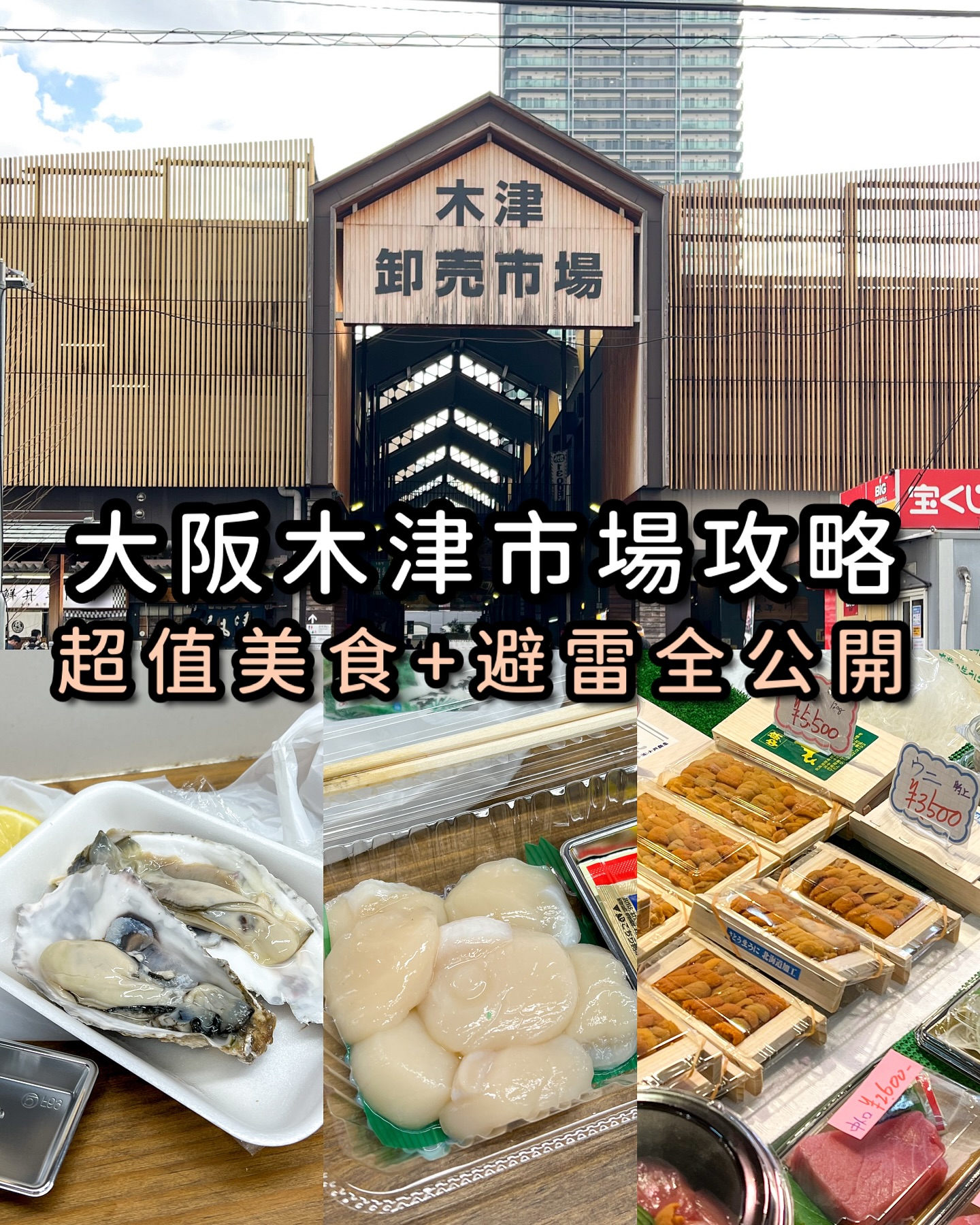 Fibee3b, Osaka Kizu Market