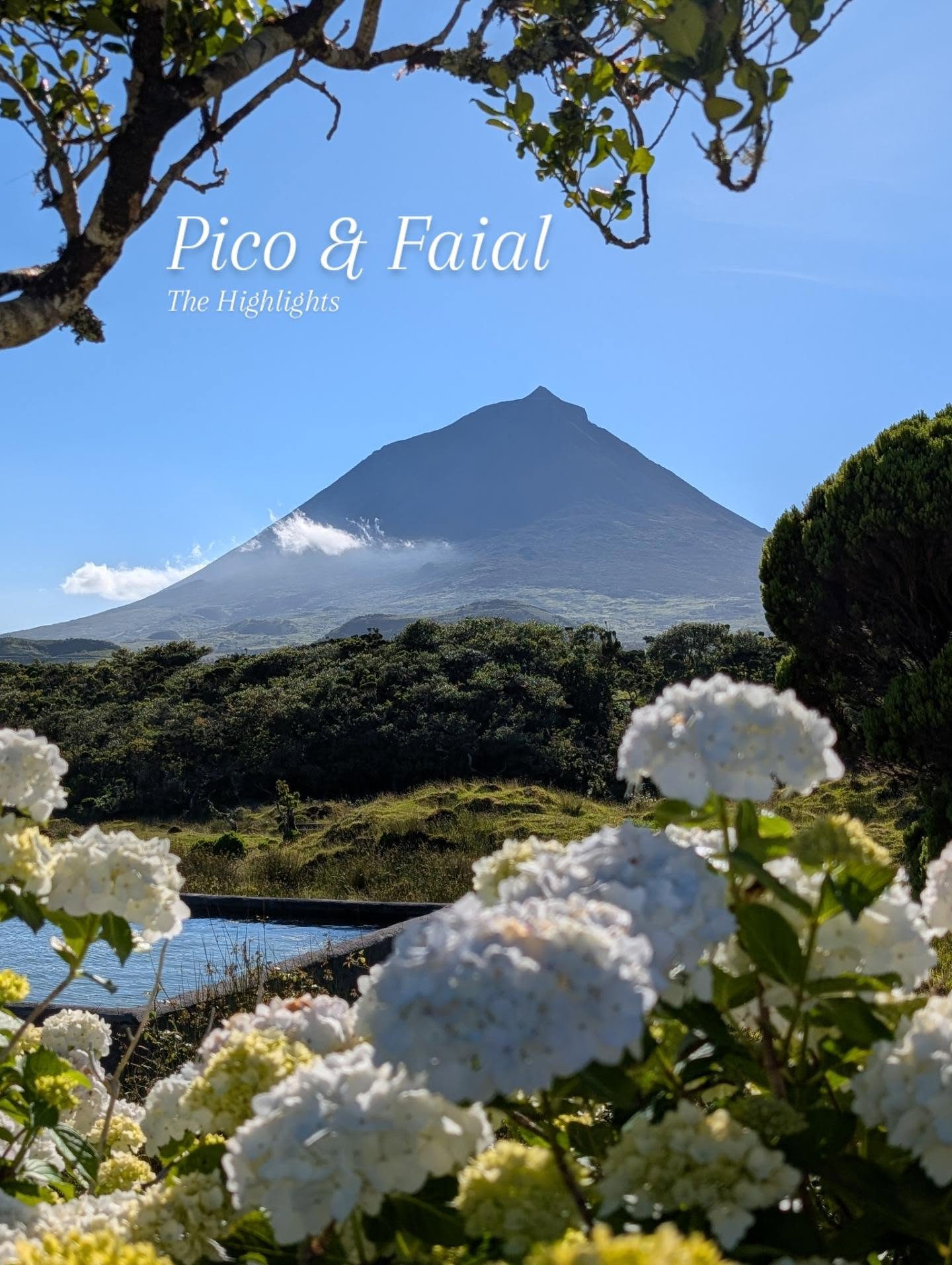 Luis, Mount Pico