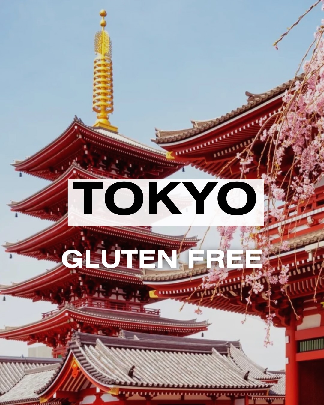 Por el Mundo Sin Gluten, Sensō-ji