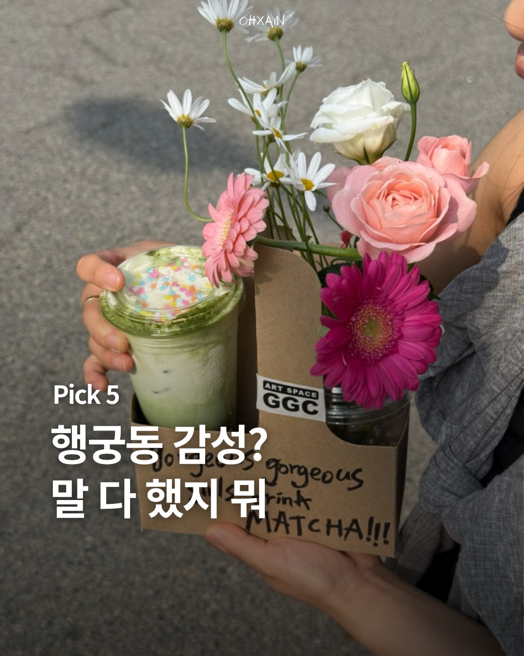 담 ; 淡, 행궁동 쥐쥐씨