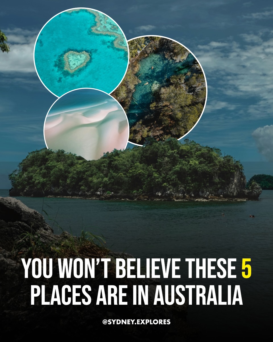 Sydney, Australia 🇦🇺 Travel | Hotels | Food | Tips, Great Barrier Reef