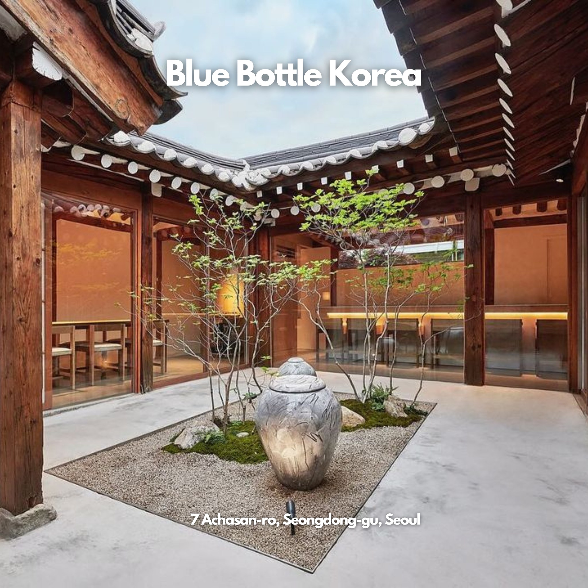 Korea Travel Guide 🇰🇷, ZESTY SALOON Seongsu
