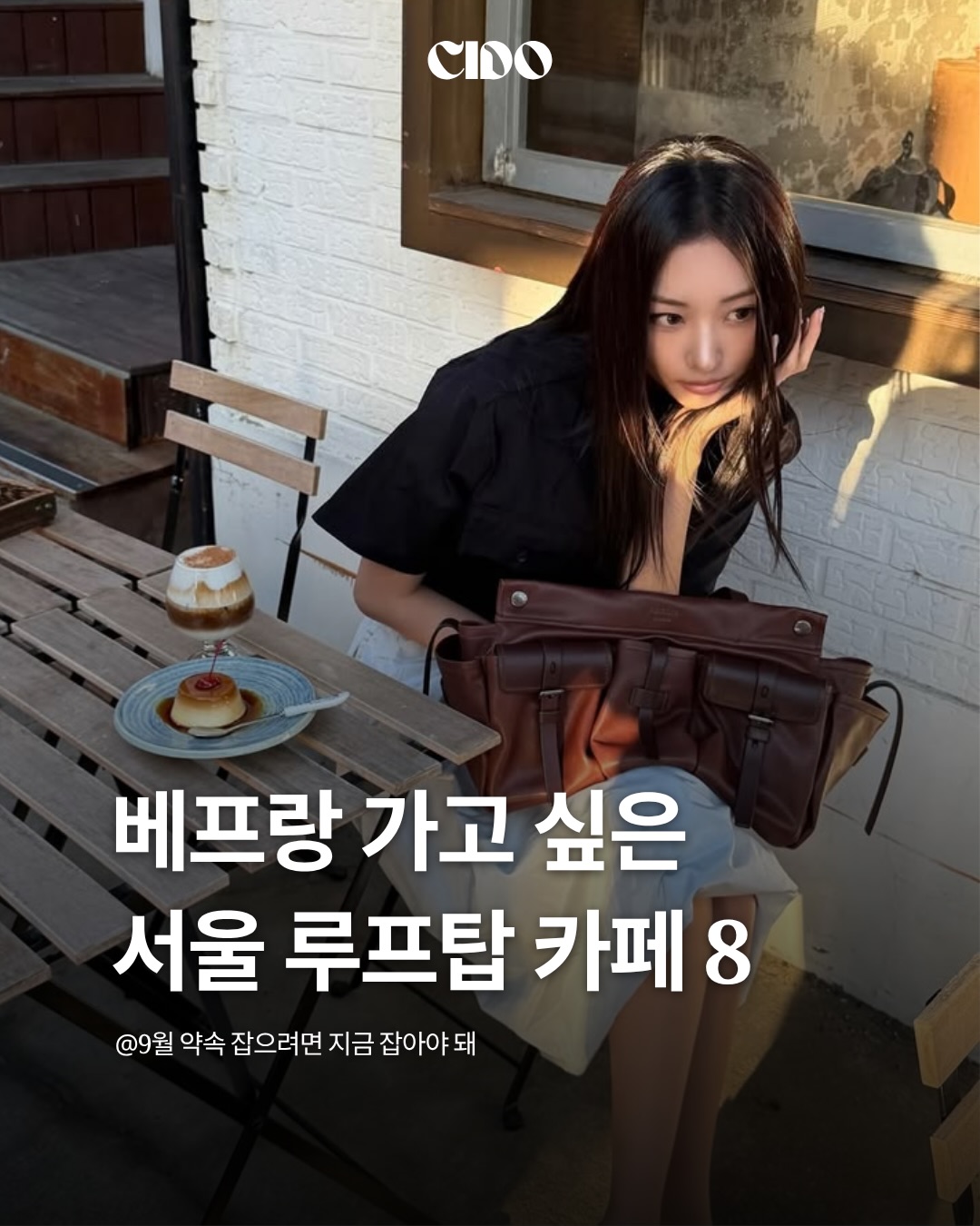 CIDO 시도, SHELTER SEOUL