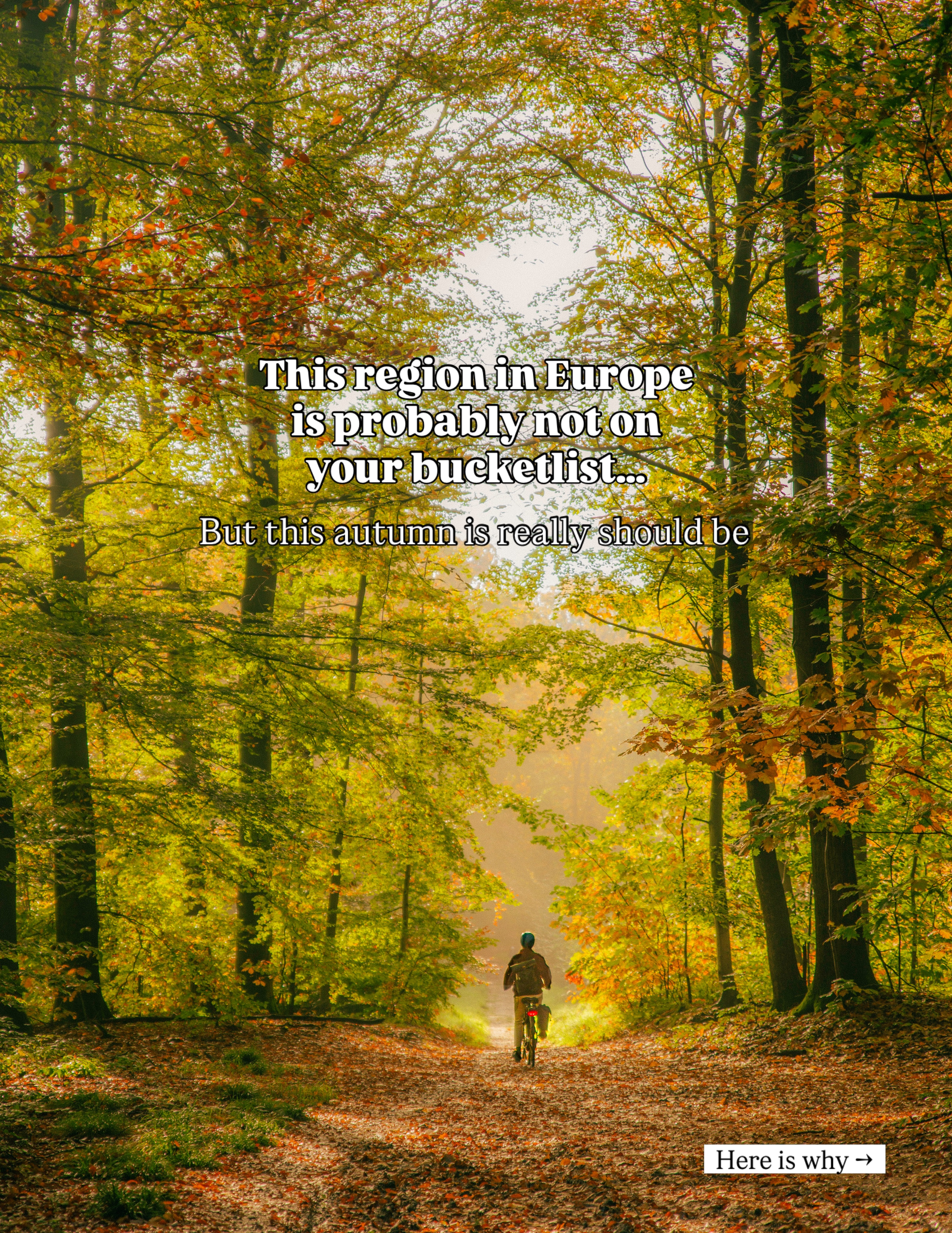 Caroline Muller• Photographer | Sustainable Travel Writer, Park Abbey