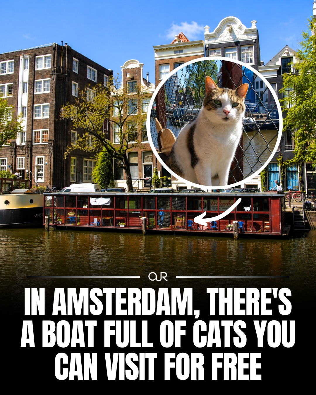 Our Destinations, Singel