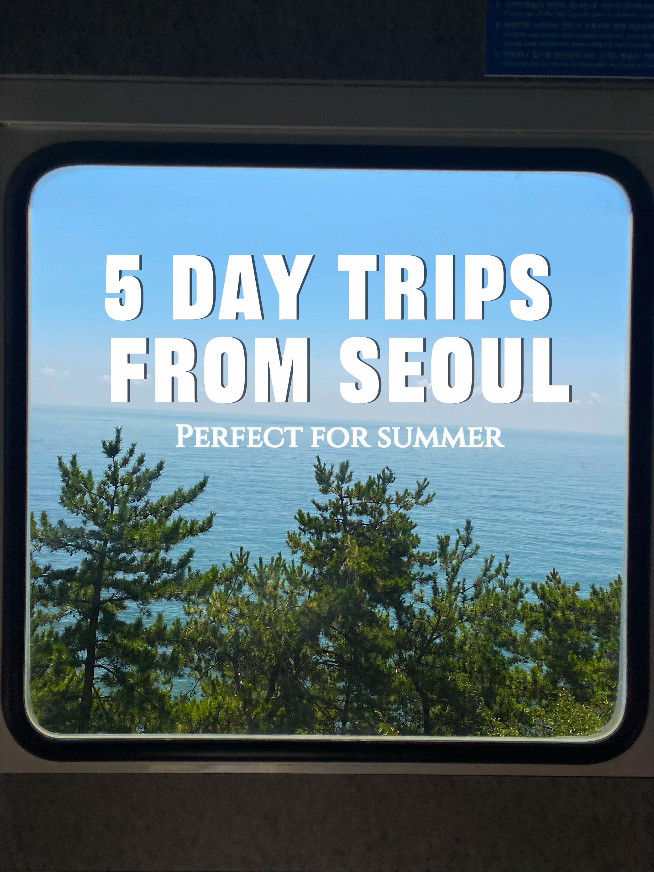 ✩⋆Holly⋆✧, Sokcho-si