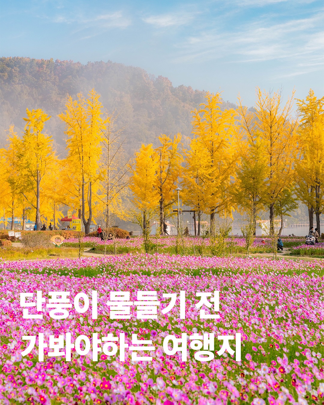 ✈️ 여행 크리에이터 염한성 | <염씨표류기>, Jaein Falls