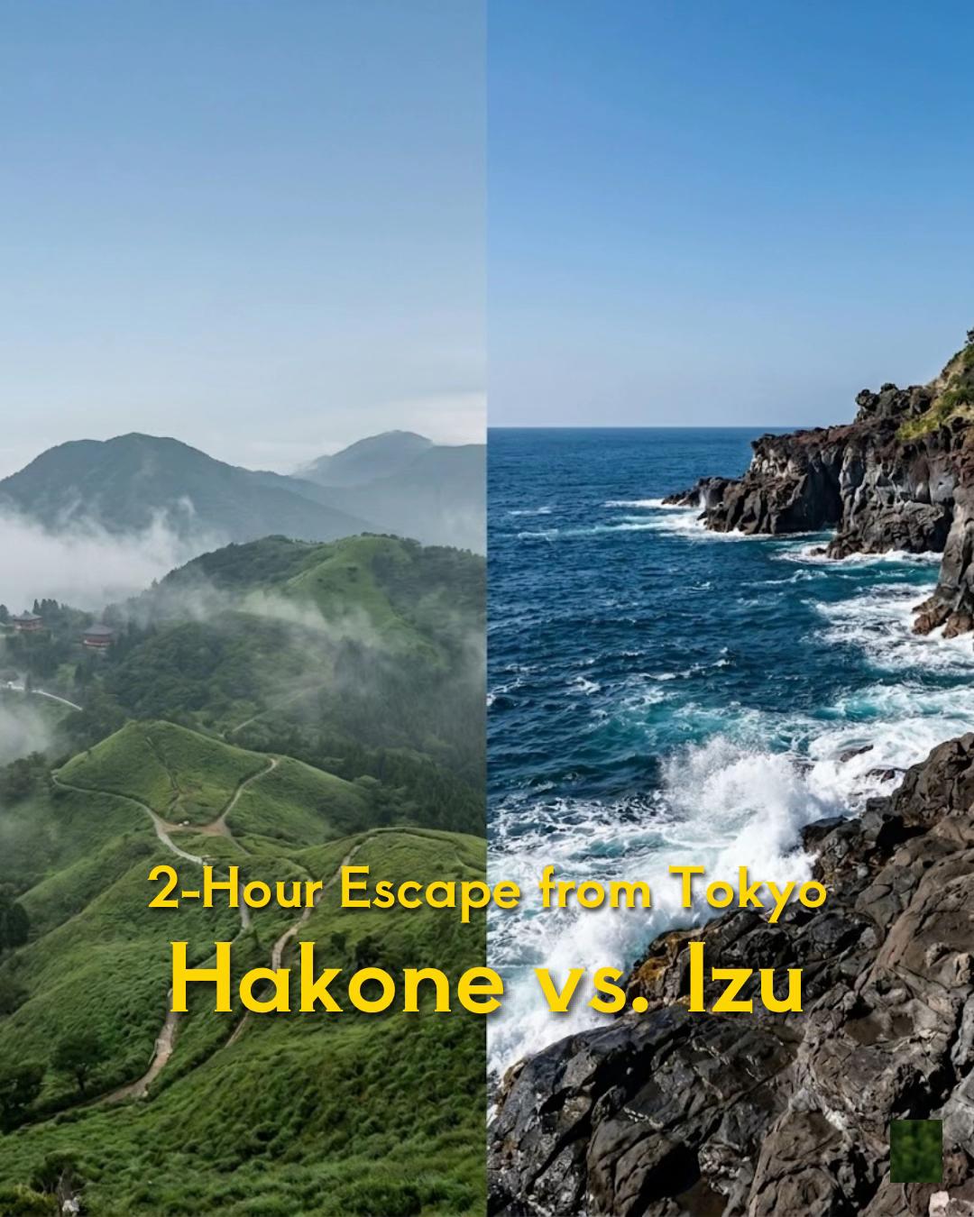 Izu Experience Japan, Mount Fuji
