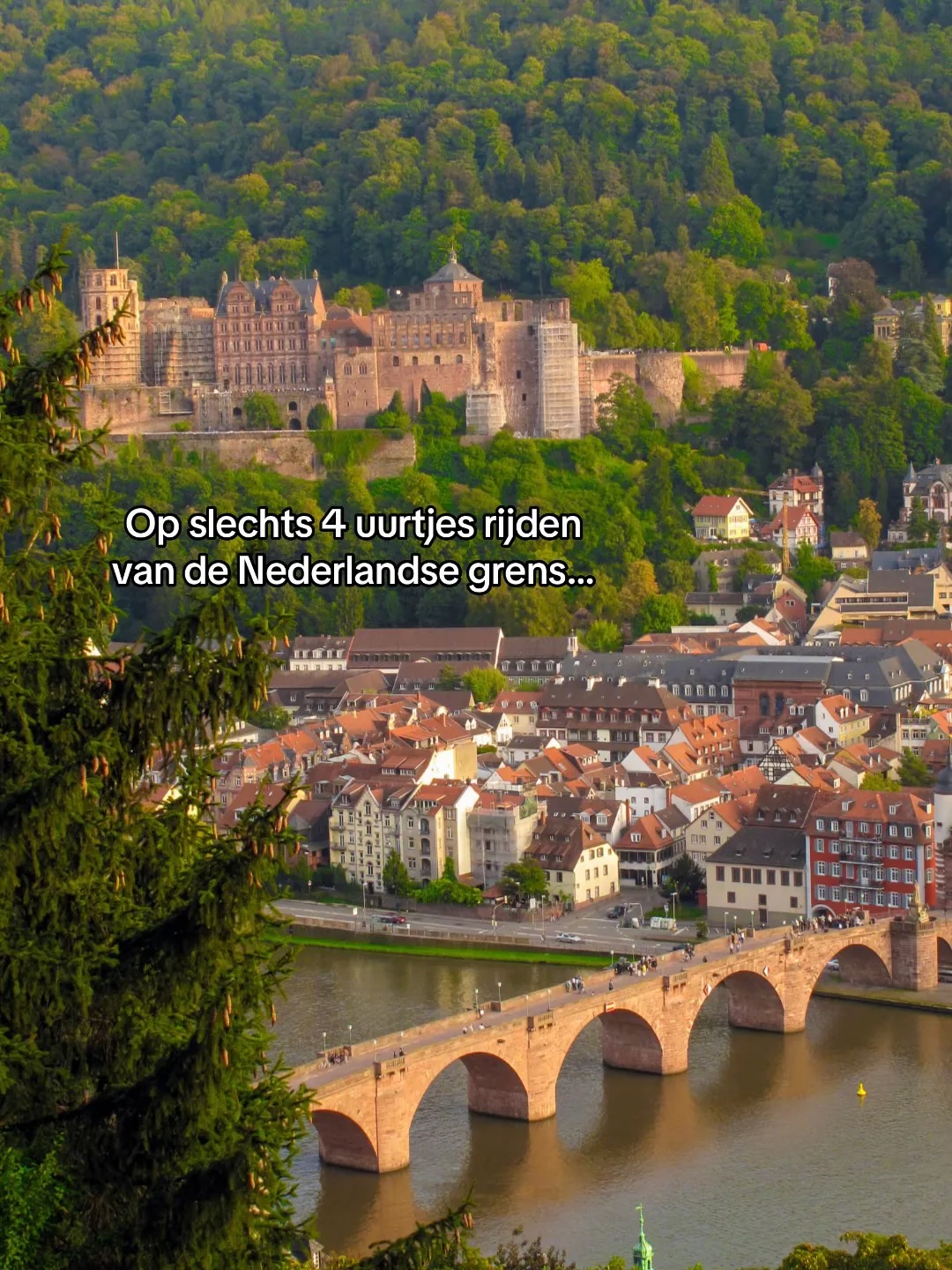 Jari Gaarenstroom | Hiken | Wildlife, Heidelberg Palace