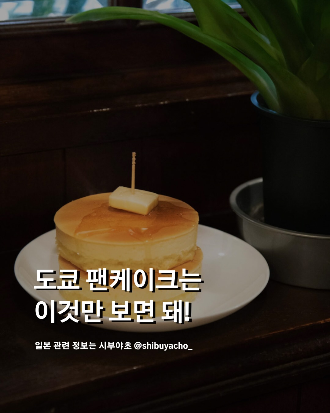 시부야초 | 도쿄 여행 라이프 매거진, Balcony by 6th Roppongi Branch