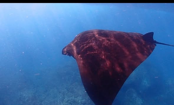 Tracey Axtell, Nusa Lembongan