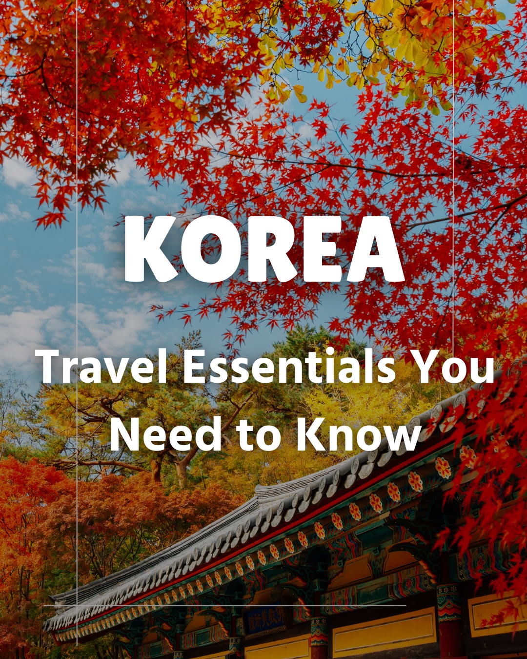 Korea Travel Guide 🇰🇷, Gyeongbokgung Palace