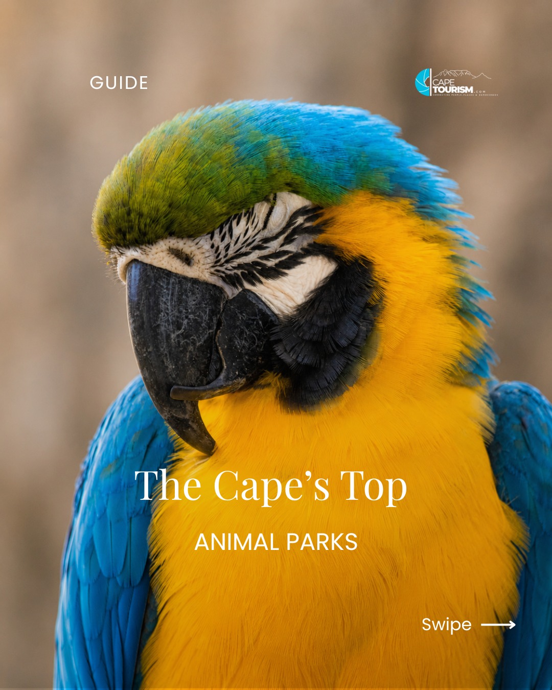 CapeTourism.com, Exotic Animal World (Previously Butterfly World)