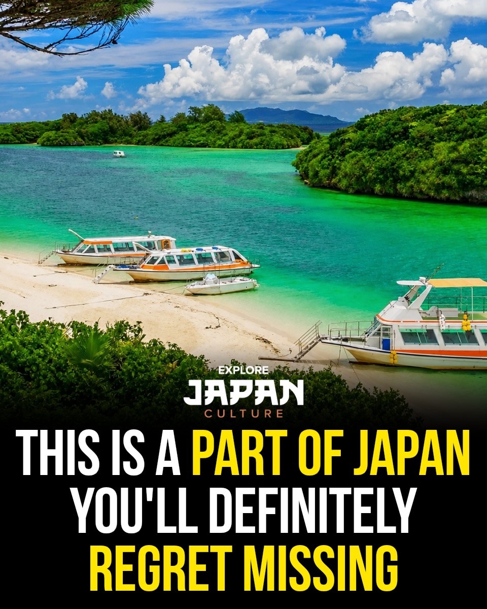 Japan 日本 🇯🇵 Asia Travel | Hotels | Food | Tips, Shuri Castle