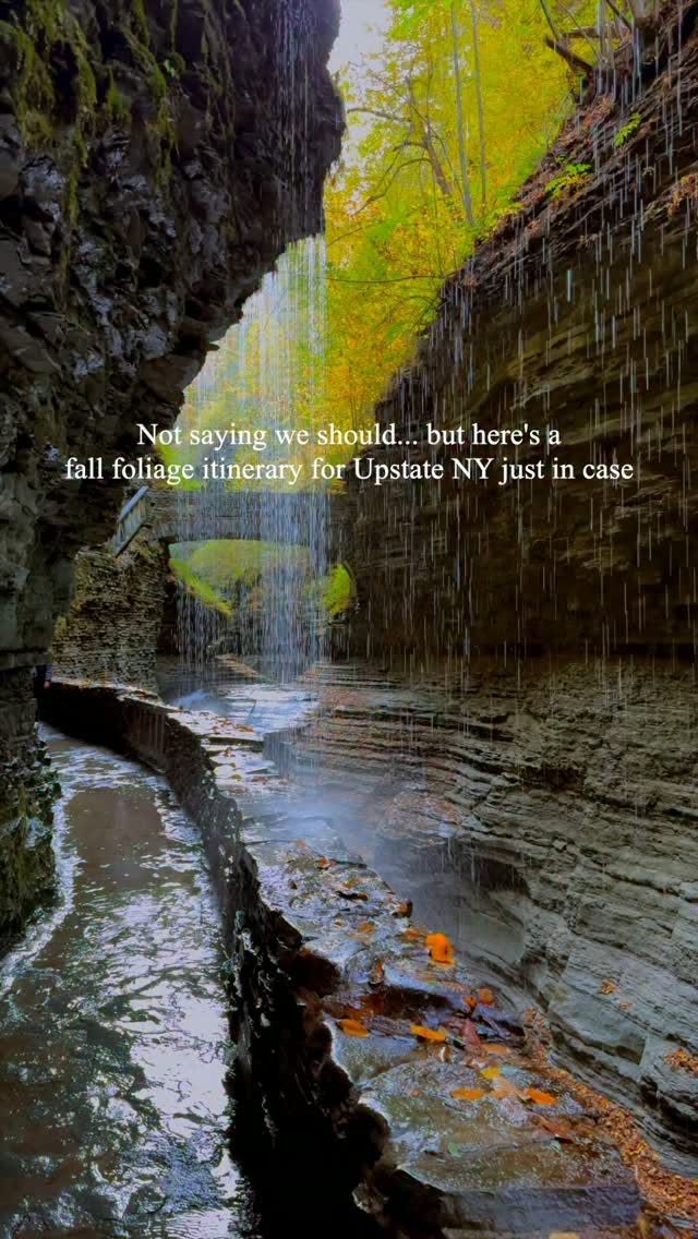 Facebook, Lake Placid