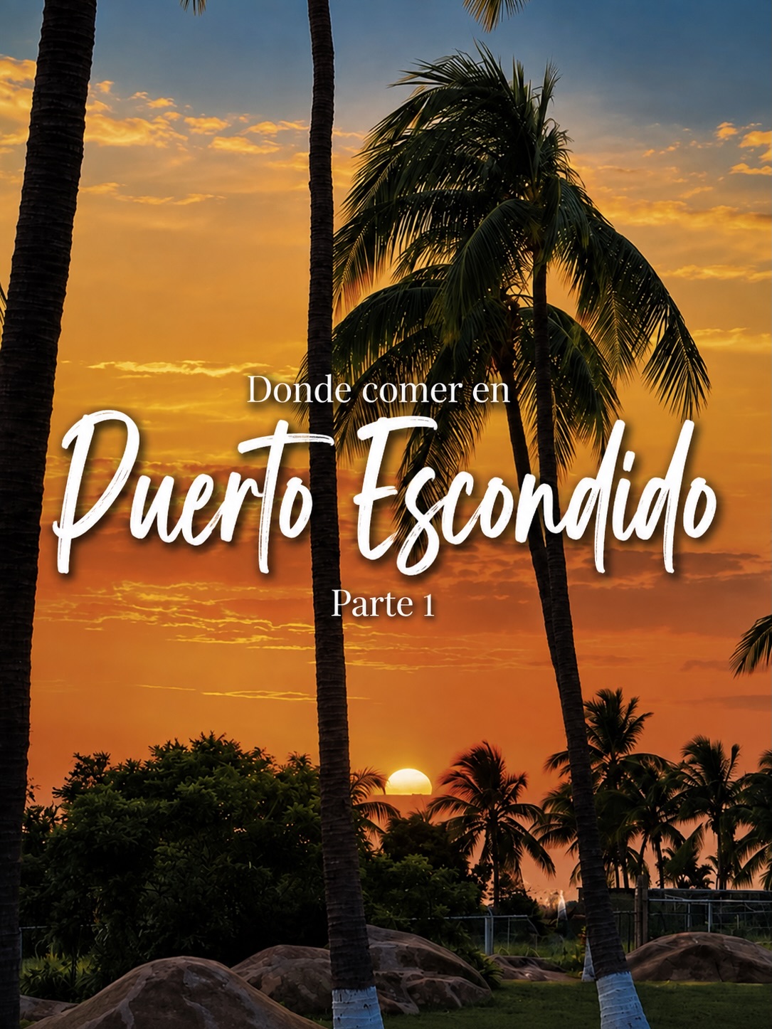 𝗣𝘂𝗲𝗿𝘁𝗼 𝗘𝘀𝗰𝗼𝗻𝗱𝗶𝗱𝗼 𝗢𝗮𝘅, Playa Zicatela