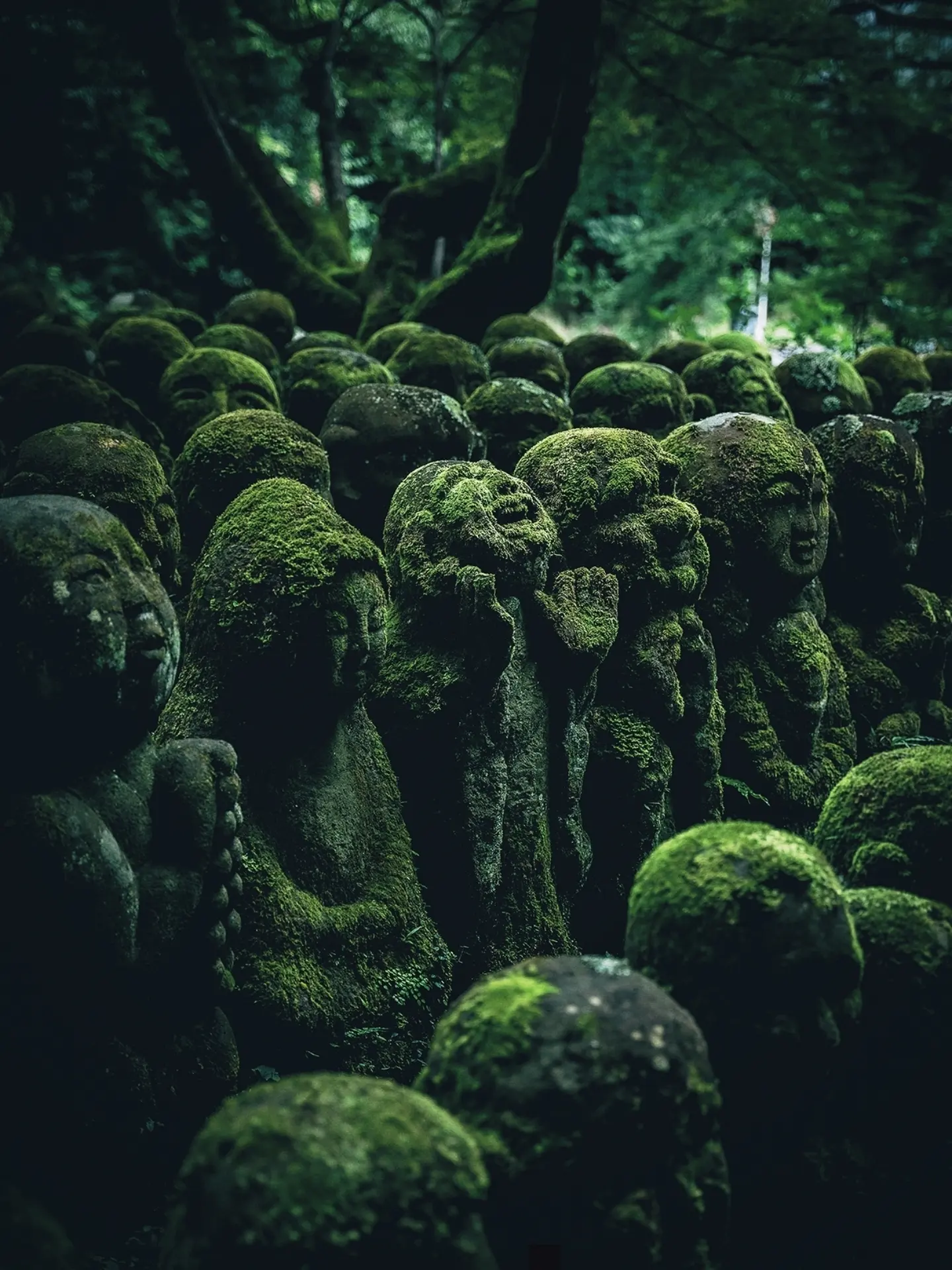 YUTO / Berlin 🎭 Tokyo, Japan, Saiho-ji (Koke-dera)