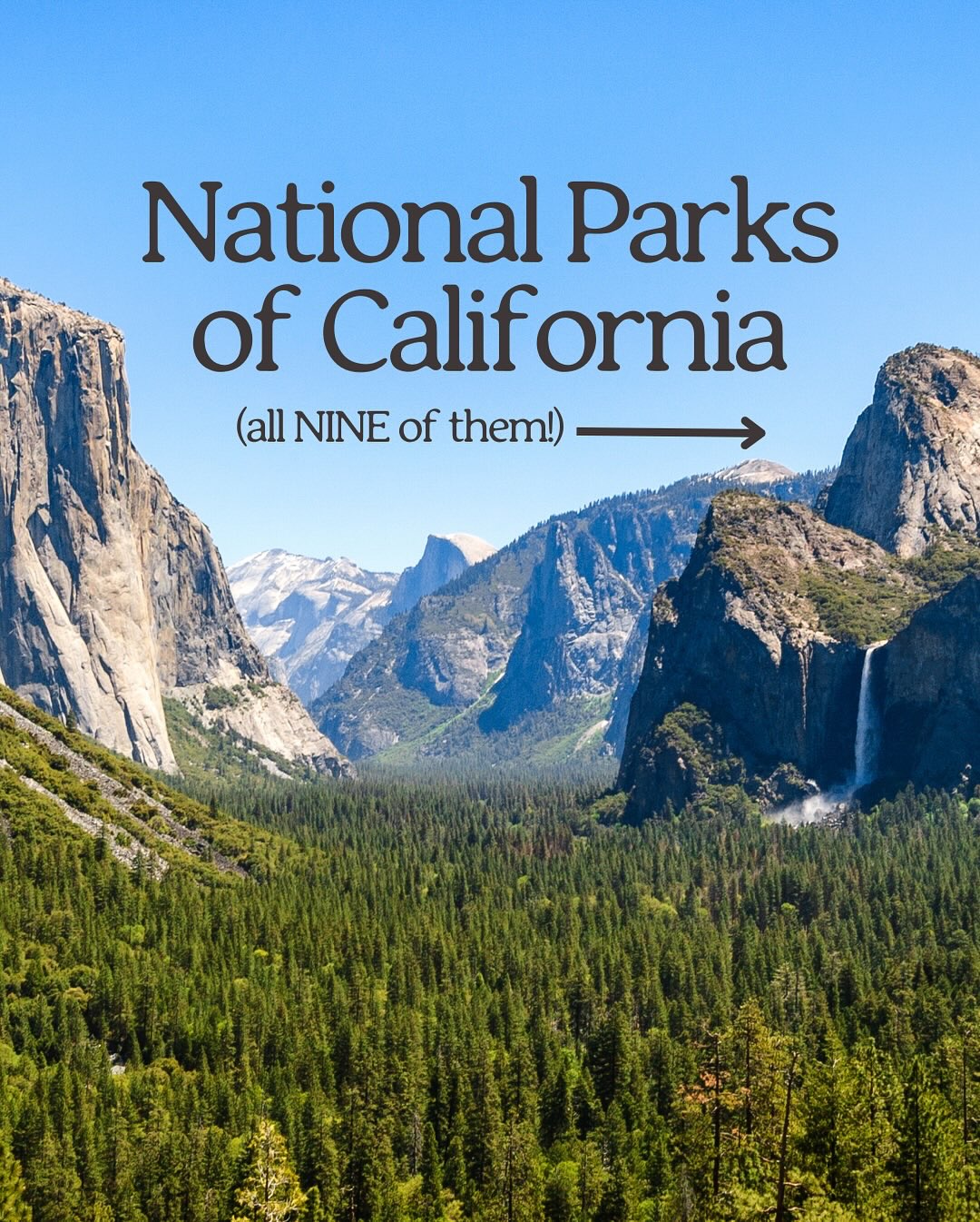 California Experiences 🇺🇸 Tips | Food | Experiences, Hachikō Memorial Statue