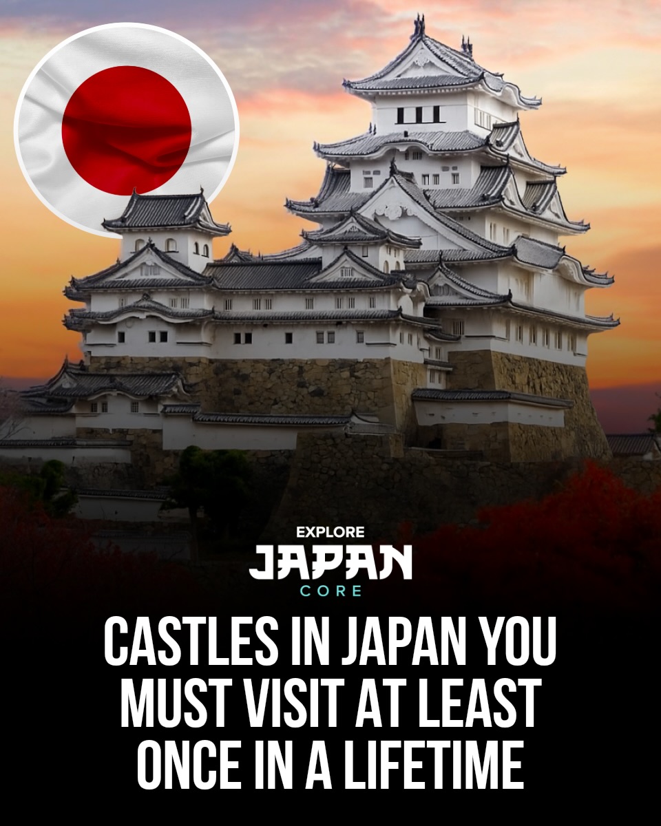 Japan 日本 🇯🇵 Asia Travel | Hotels | Food | Tips, Nijō Castle
