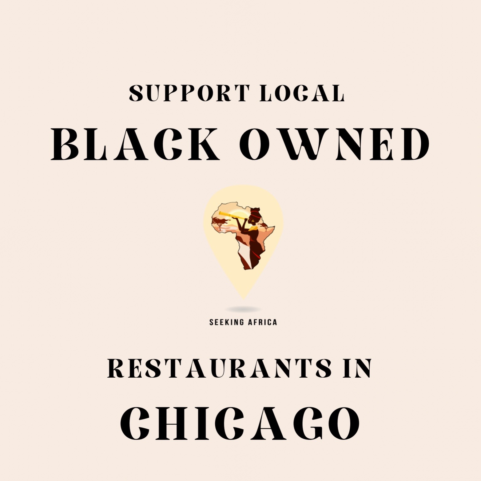 SeekingAfrica, Chemistry Chicago
