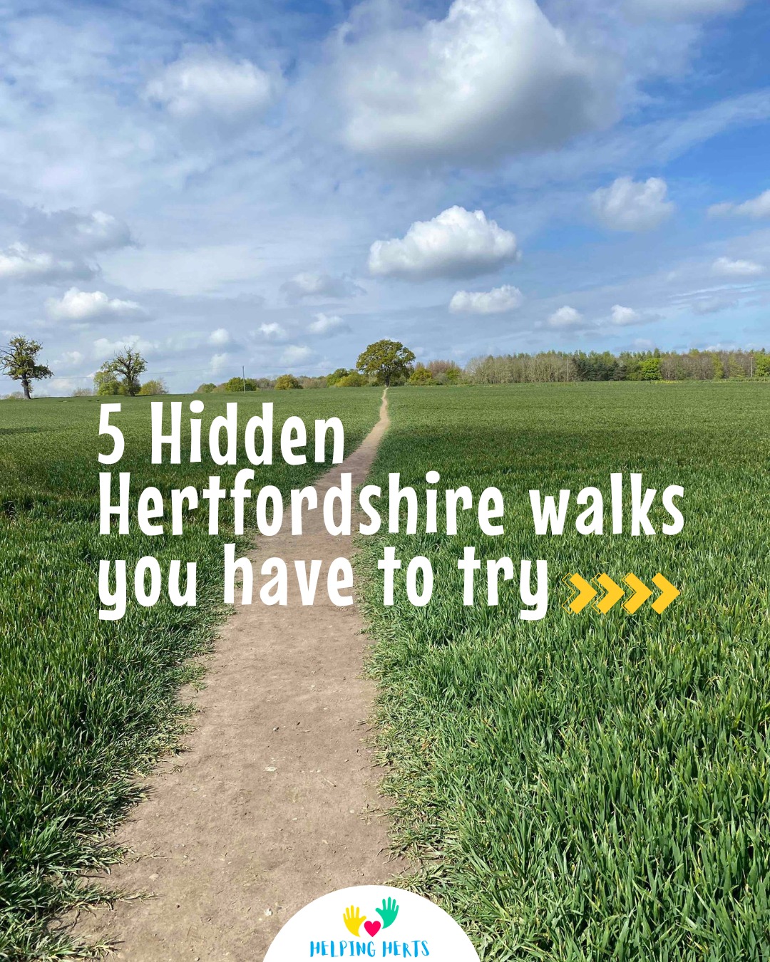 Helping Herts, Ayot Green