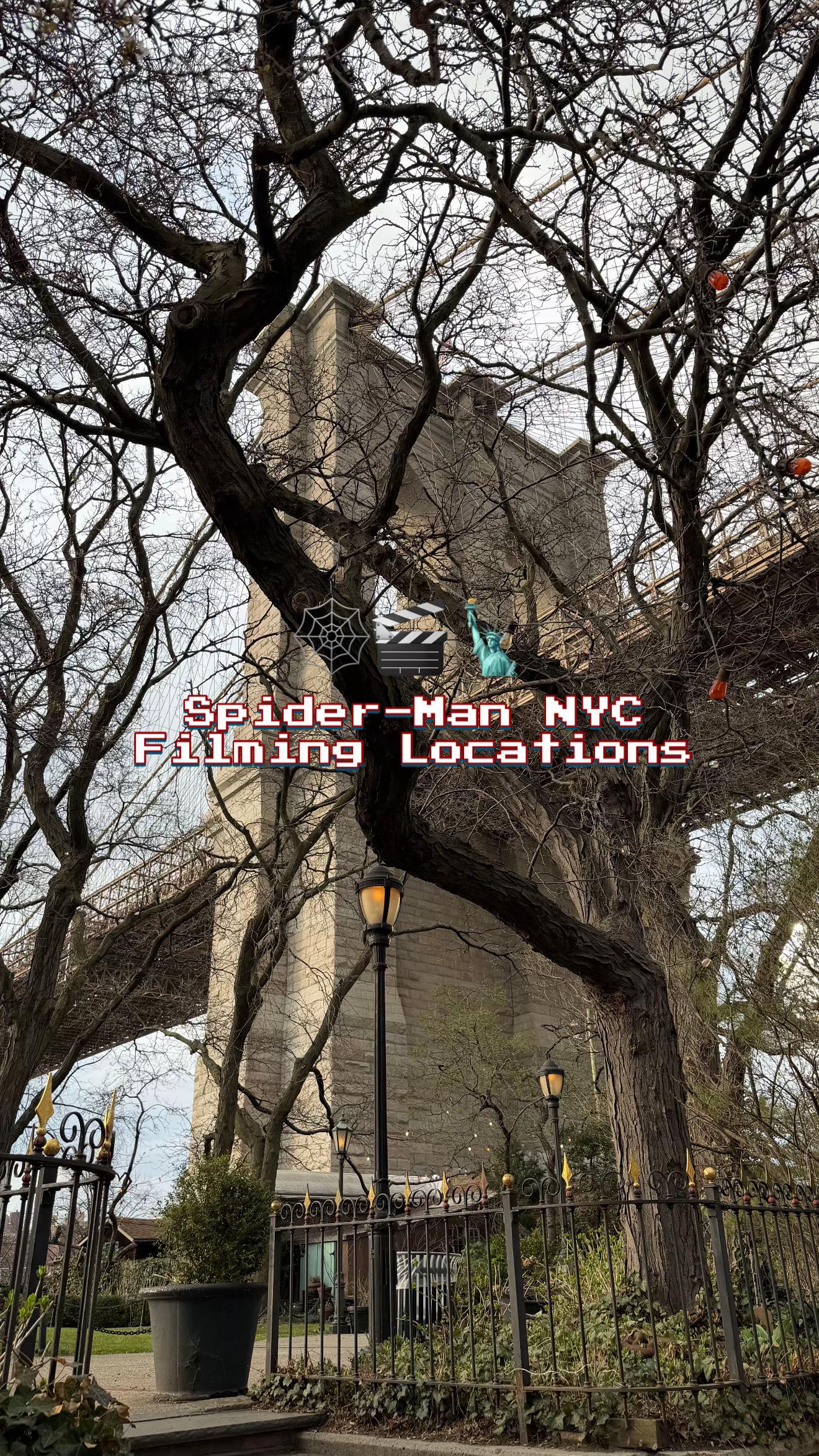 𐔌՞. .՞𐦯, Brooklyn Bridge