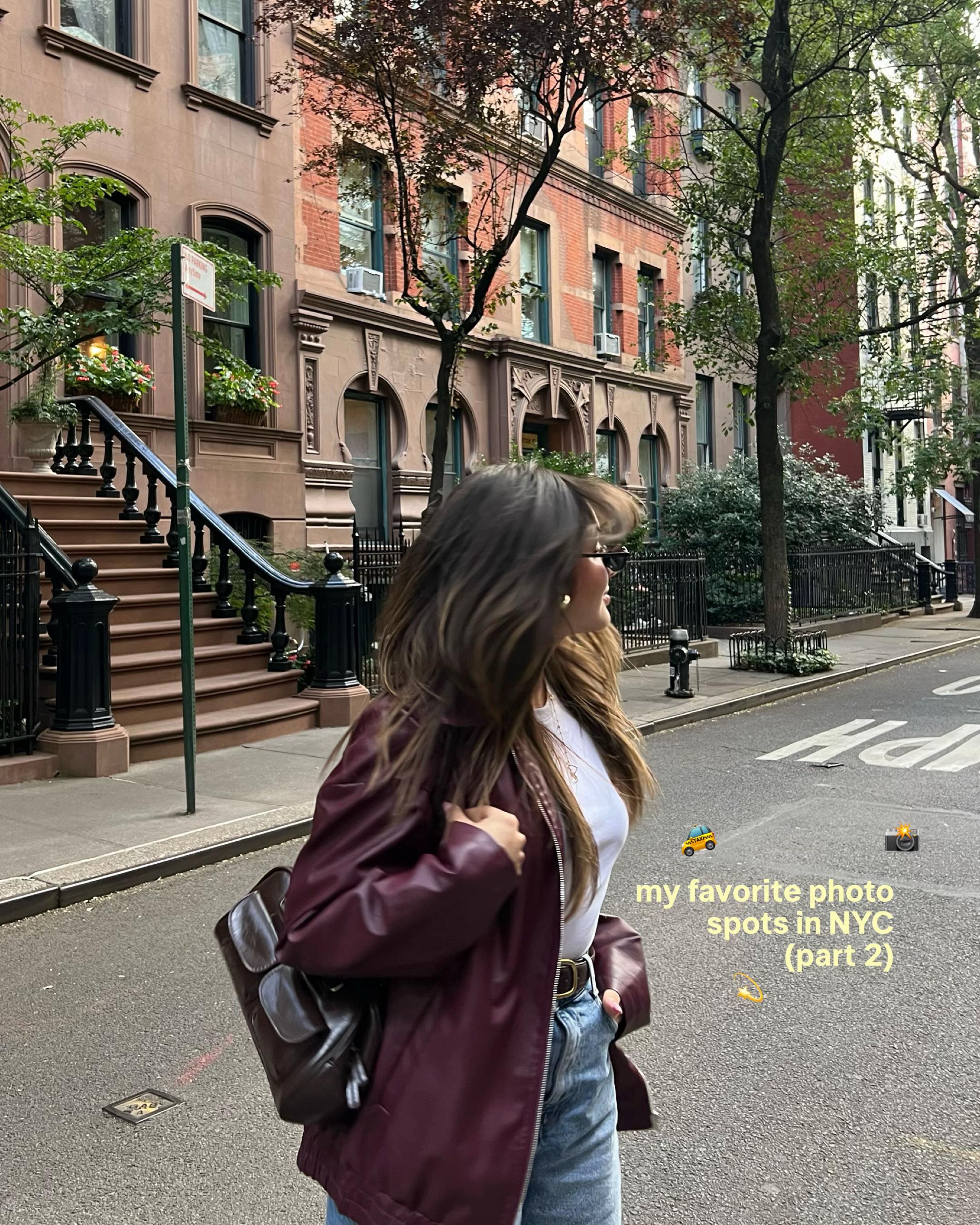 Lana Alves, The Metropolitan Museum of Art