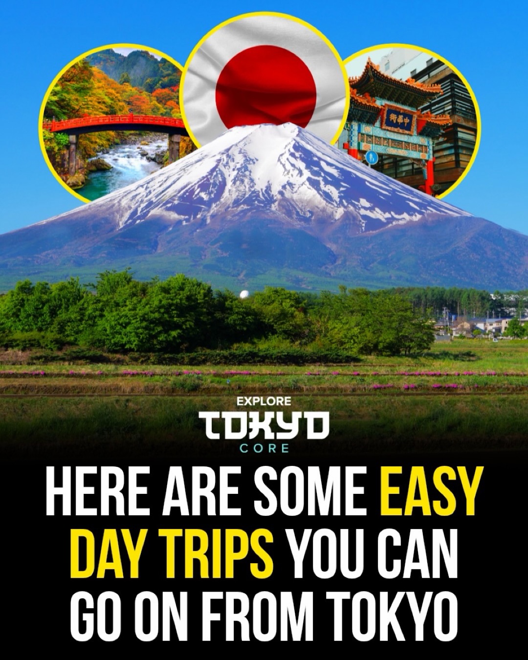 Tokyo, Japan🇯🇵 东京 Travel | Hotels | Food | Tips 🗼, Mount Fuji