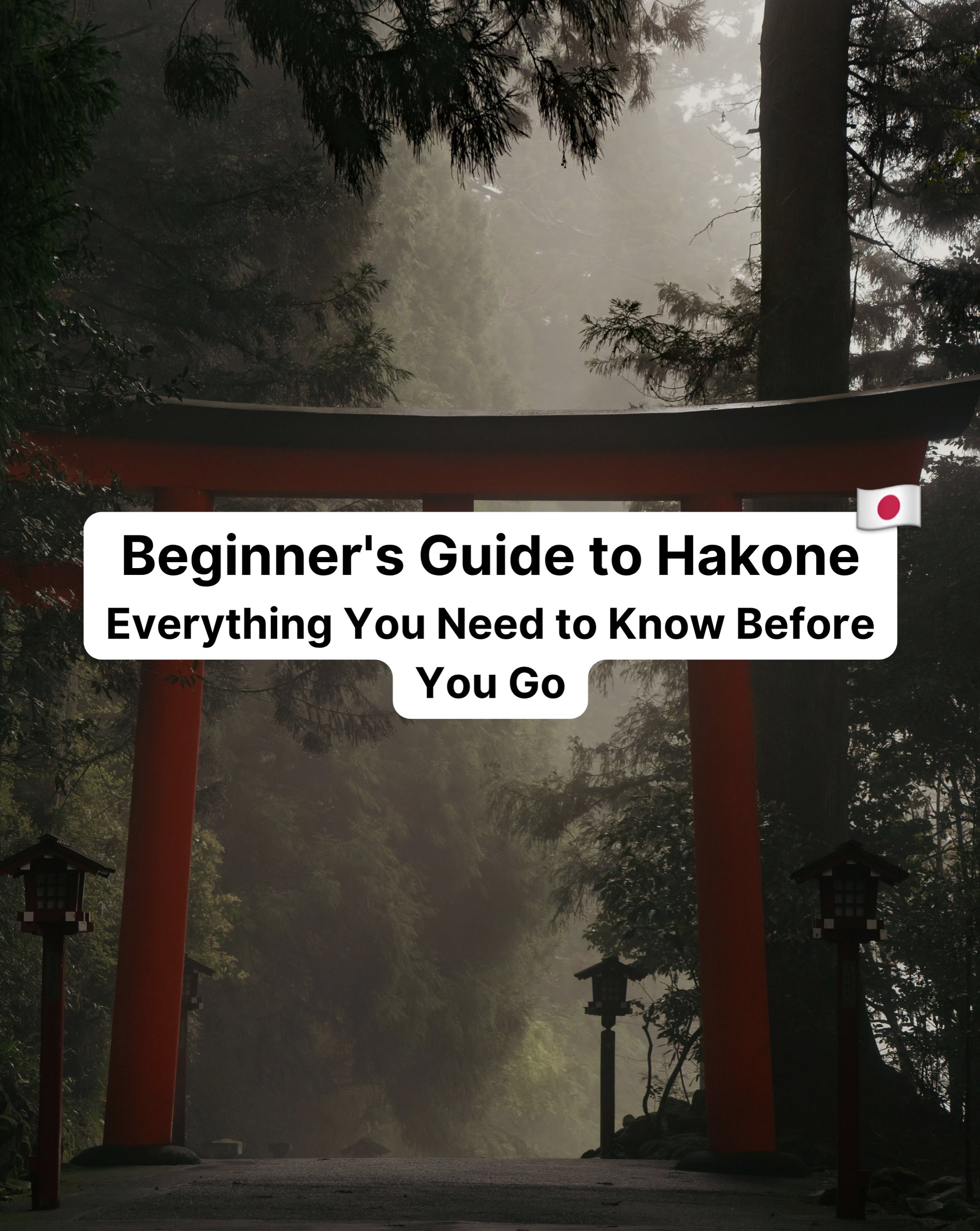skiptheplan, Hakone Shrine