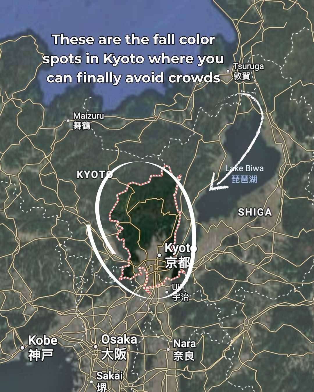 Adam, Saiho-ji (Koke-dera)